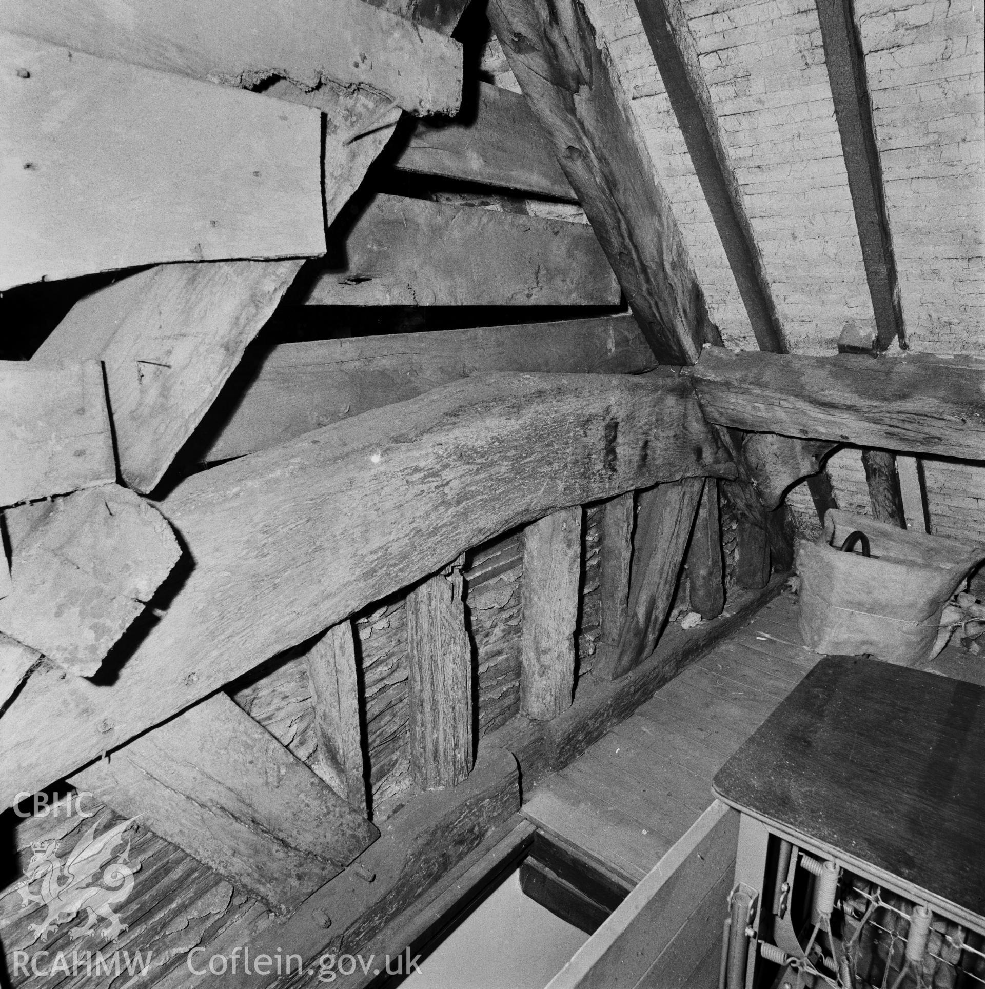 Interior detail - roof
