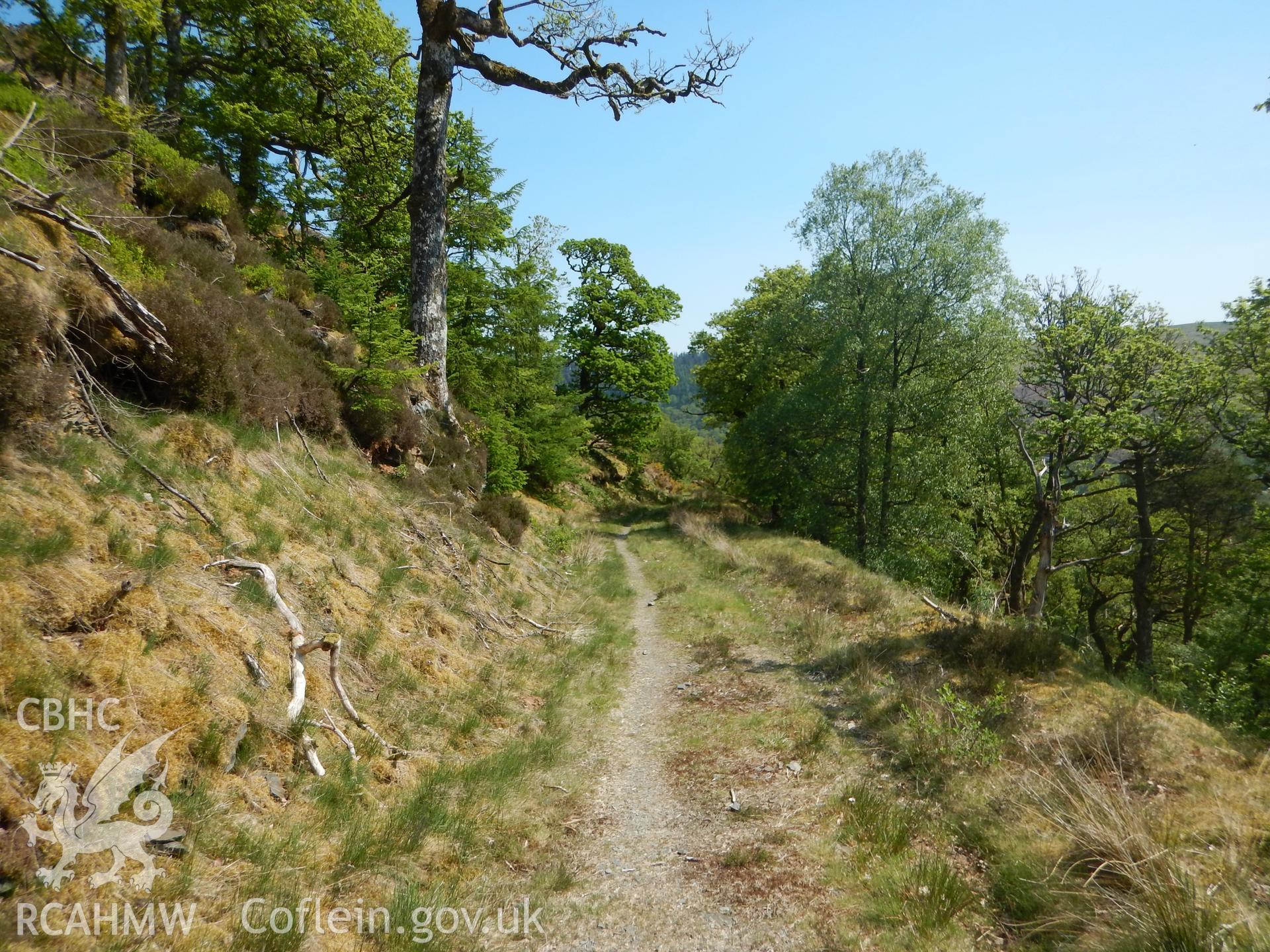 View along forestry track, looking north-east. Photographed as part of Archaeological Desk Based Assessment of Afon Claerwen, Elan Valley, Rhayader, Powys. Assessment conducted by Archaeology Wales in 2018. Report no. 1681. Project no. 2573.