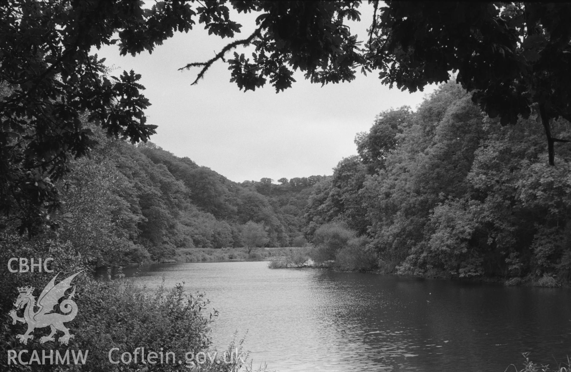 Digital copy of a black and white negative showing view up the Teifi from Cwm Du on the east banks 1.5km north of Cilgerran. Photographed by Arthur O. Chater in September 1964 from Grid Reference SN 1943 4447, looking west south west.
