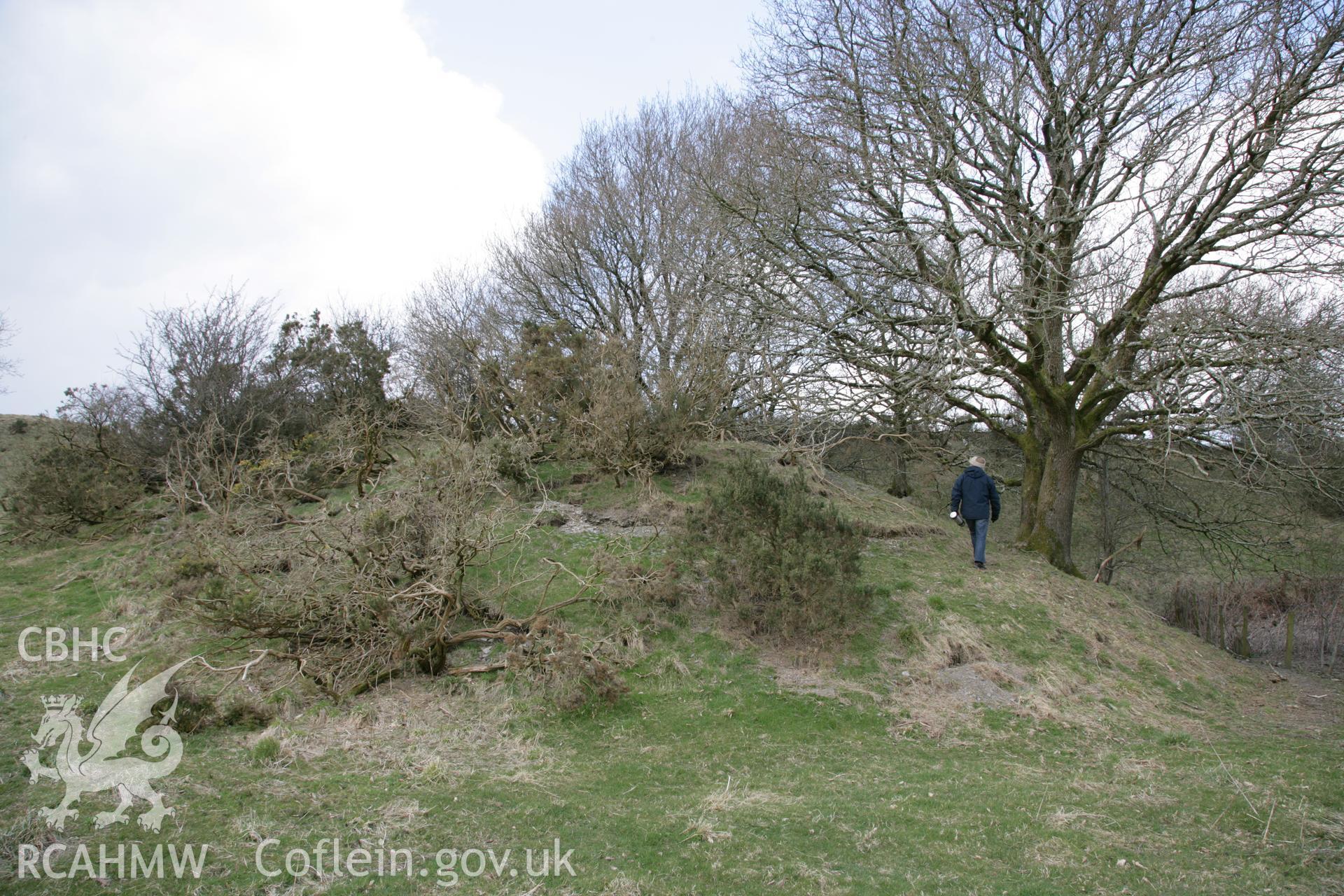 Photographic survey of Pen y Castell hillfort by Toby Driver and Jeffrey L. Davies, showing details of the east facing main gate and interior, conducted on 27th March 2013.