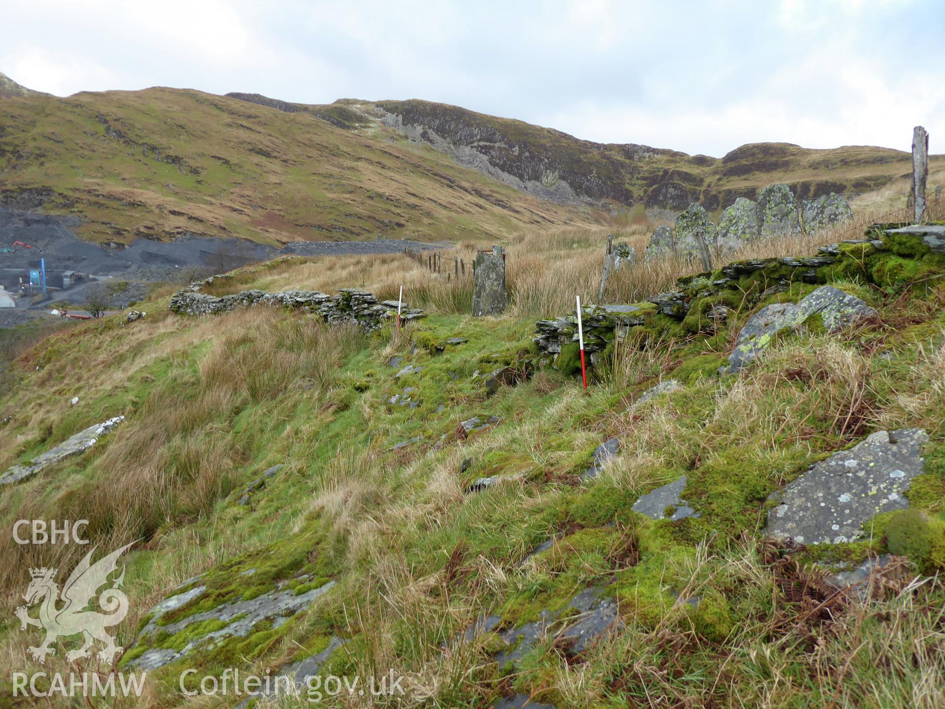 Tal-y-Waenydd wall, photographed on 11th February 2019 as part of archaeological assessment of Antur Stiniog Downhill Cycle Tracks Extension, conducted by I. P. Brooks of Engineering Archaeological Services Ltd.