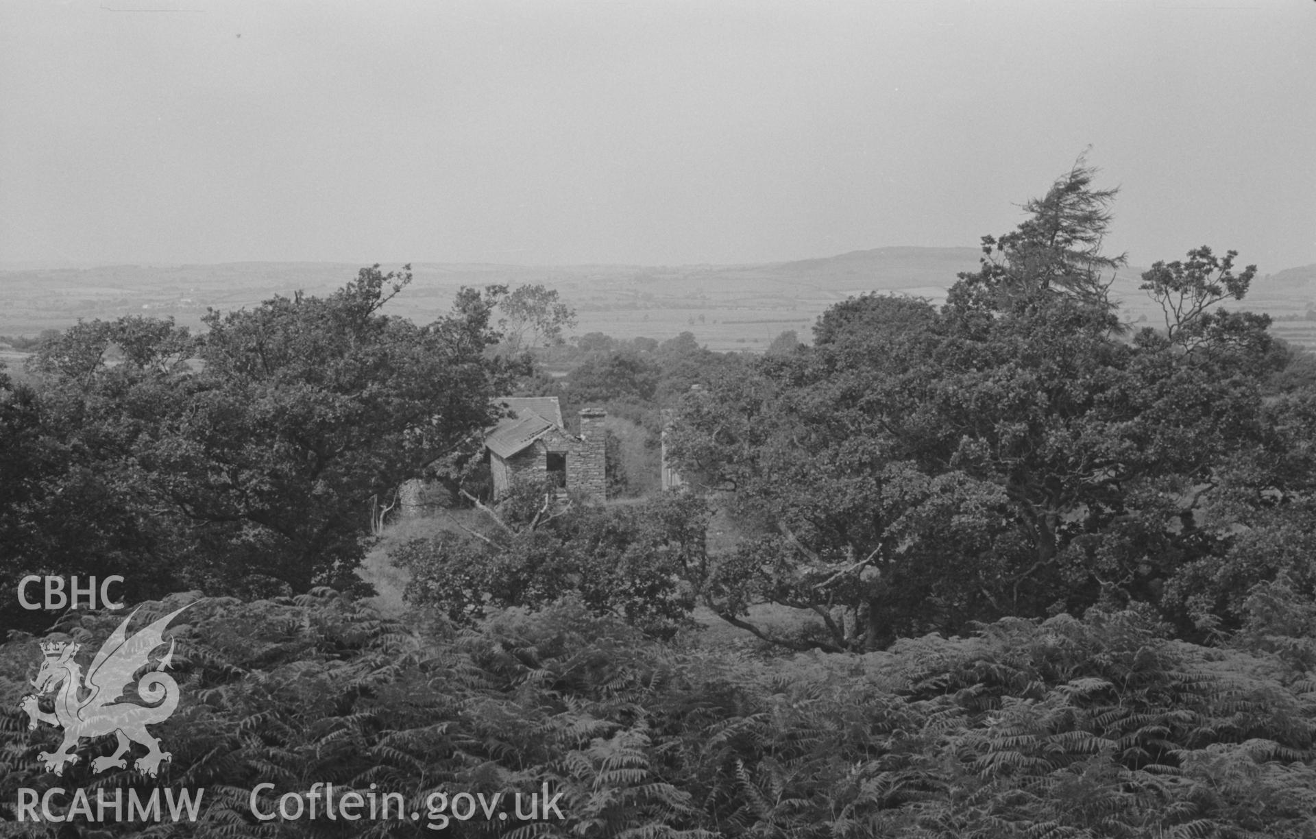 Digital copy of a black and white negative showing the view at the top of the waterfall on the Afon Fflur, from which the mill stream to Felin Flur starts. Photographed by Arthur O. Chater in August 1967. (Looking east north east from Grid Reference SN 7213 6426).