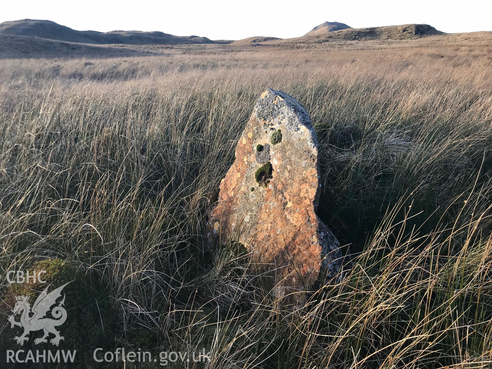 Digital colour photograph of possible boundary stone on Ffridd Trawsgoed, Llanuwchllyn, taken by Paul R. Davis on 14th February 2019.