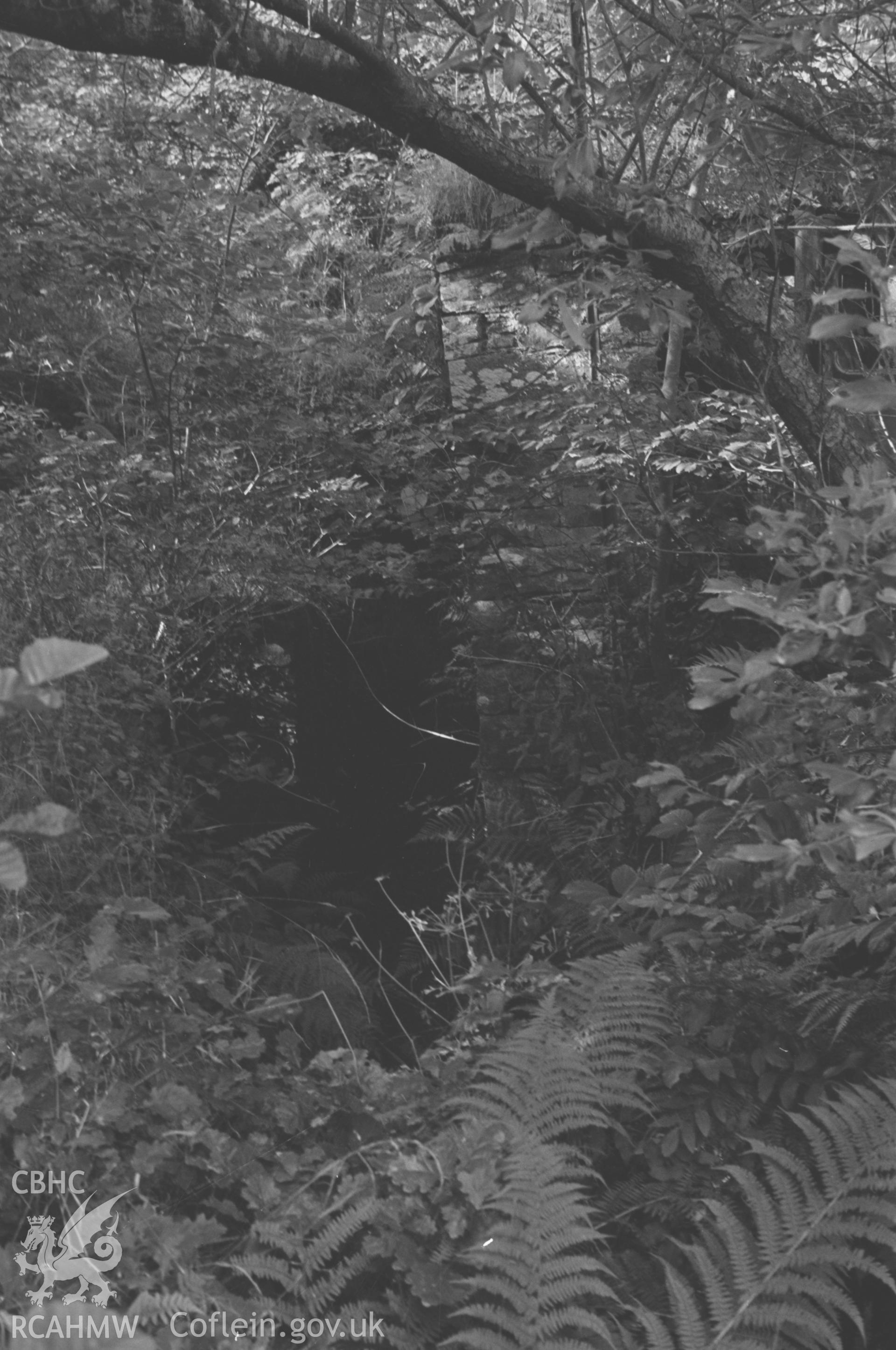 Digital copy of a black and white negative showing the overgrown wheel pit of Melin Cwm-Hyar on the Cerdin, 2.5km south east of FFostrasol. Photographed by Arthur O. Chater on 19th August 1967 looking north from Grid Reference SN 391 459.