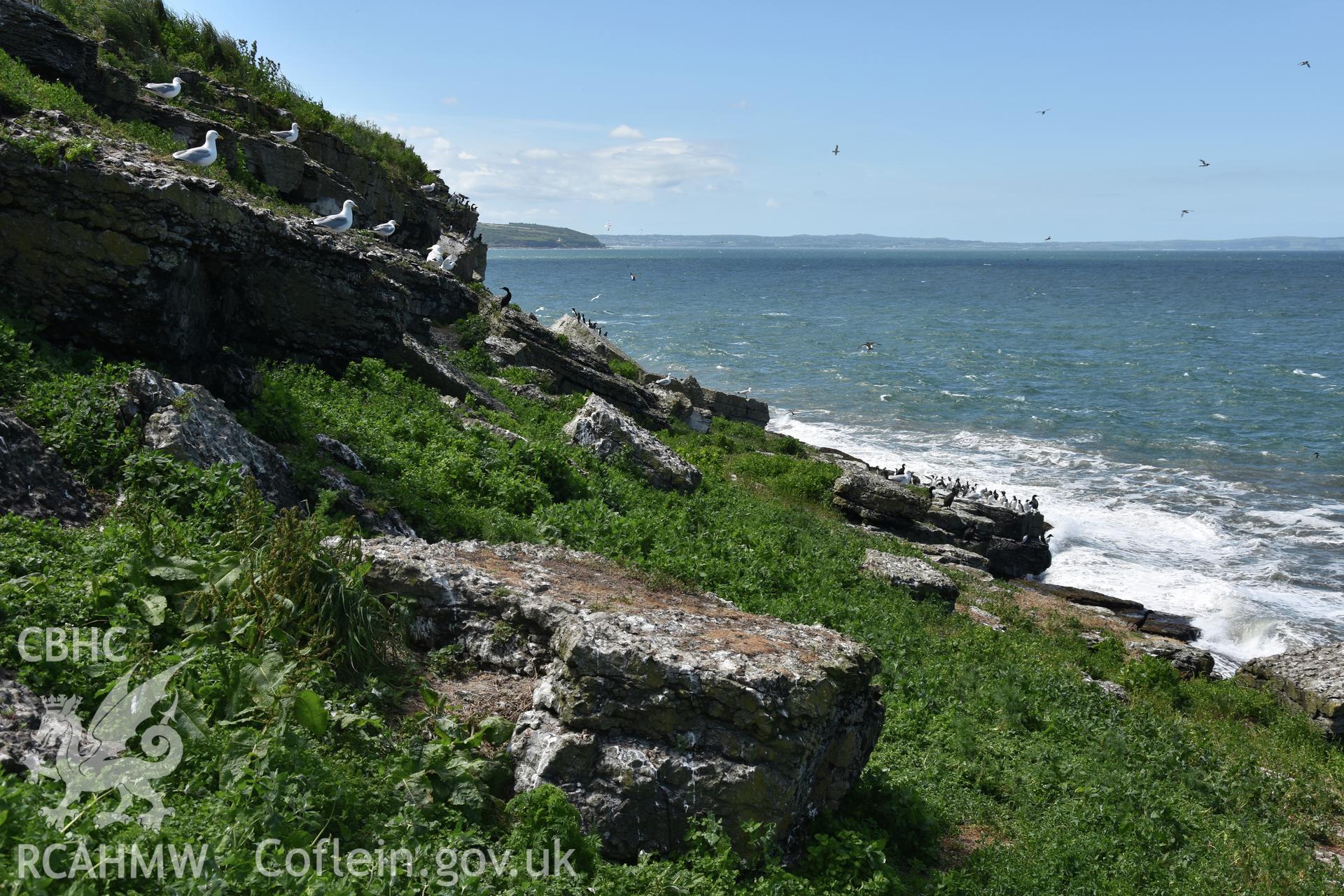 Investigator's photographic survey of Puffin Island or Ynys Seiriol for the CHERISH Project. ? Crown: CHERISH PROJECT 2018. Produced with EU funds through the Ireland Wales Co-operation Programme 2014-2020. All material made freely available through the Open Government Licence.