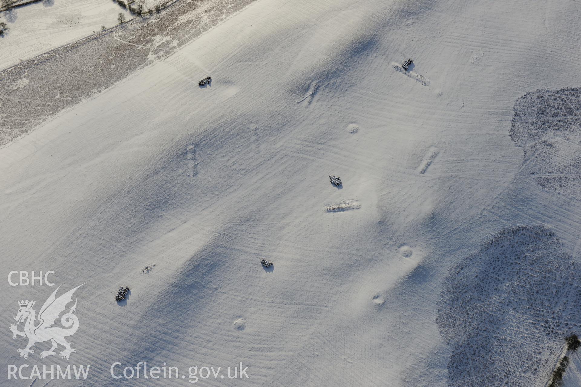 Coed Swydd pillow mounds, north east of Llandrindod Wells. Oblique aerial photograph taken during the Royal Commission?s programme of archaeological aerial reconnaissance by Toby Driver on 15th January 2013.