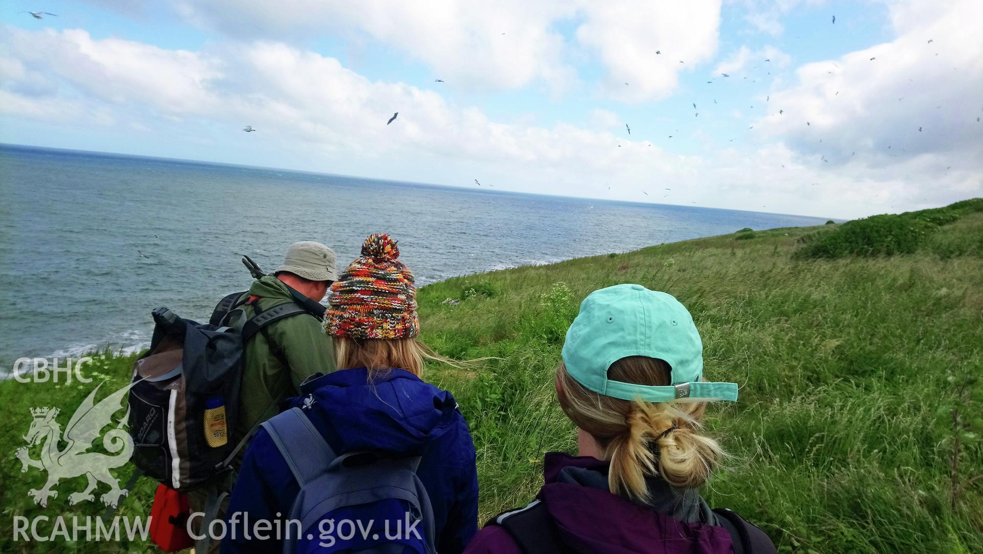 Investigator's photographic survey of Puffin Island or Ynys Seiriol for the CHERISH Project. ? Crown: CHERISH PROJECT 2018. Produced with EU funds through the Ireland Wales Co-operation Programme 2014-2020. All material made freely available through the Open Government Licence.