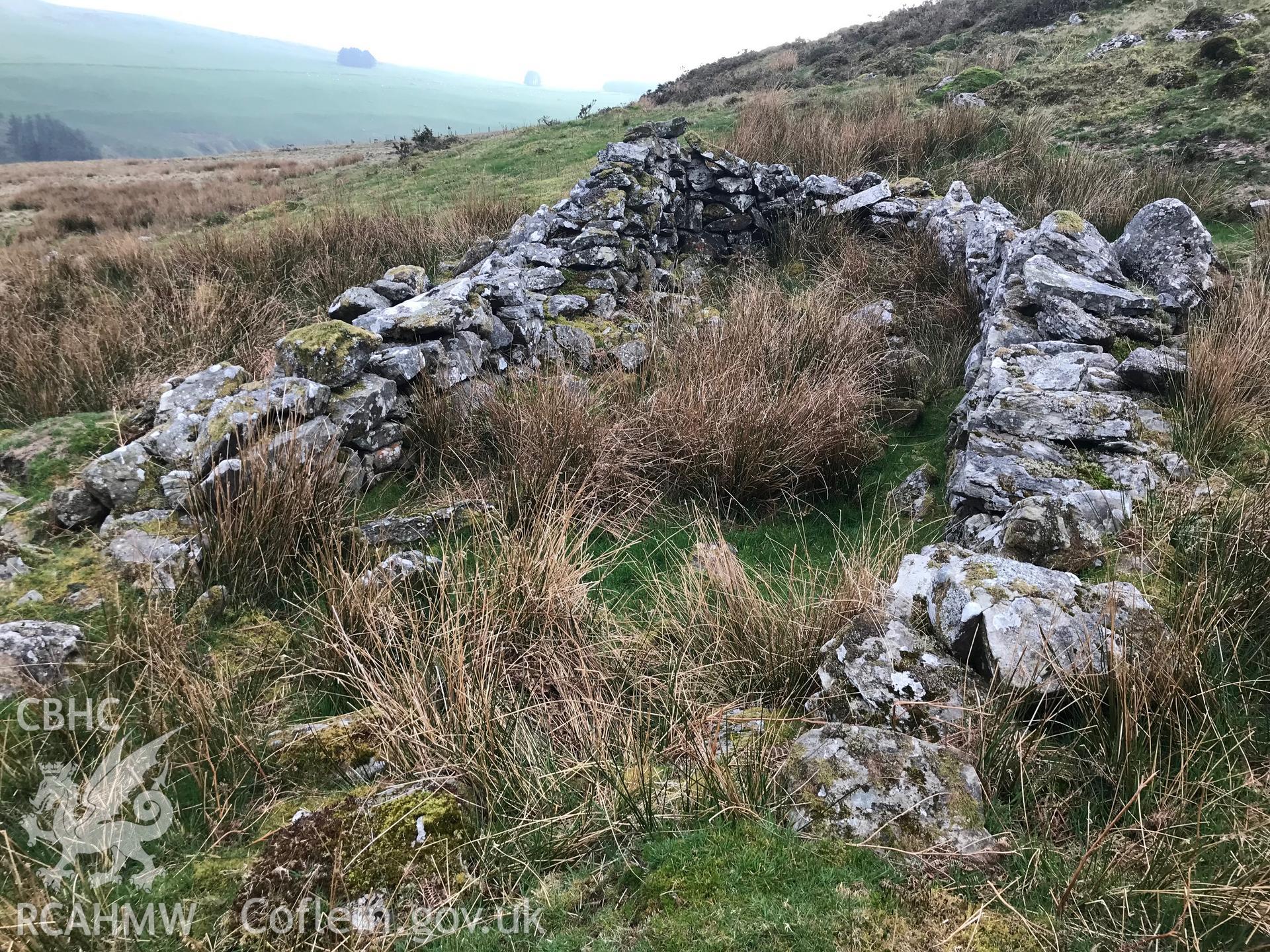 Colour photograph of Lluest Llain Wen deserted rural settlement, east of Tre'r-ddol, taken by Paul R. Davis on 28th March 2019.