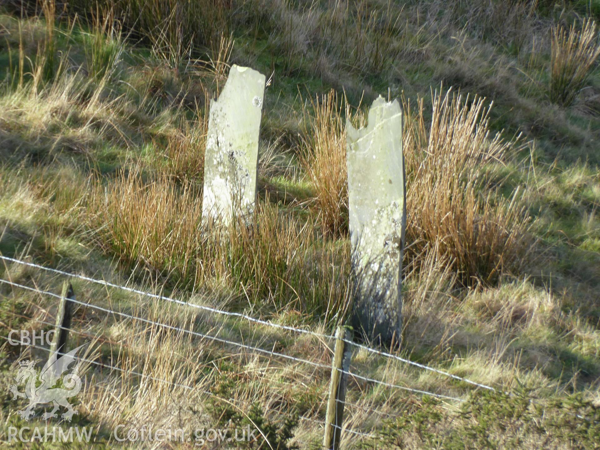 Detail of slate fence, photographed on 11th February 2019 as part of archaeological assessment of Antur Stiniog Downhill Cycle Tracks Extension, conducted by I. P. Brooks of Engineering Archaeological Services Ltd.