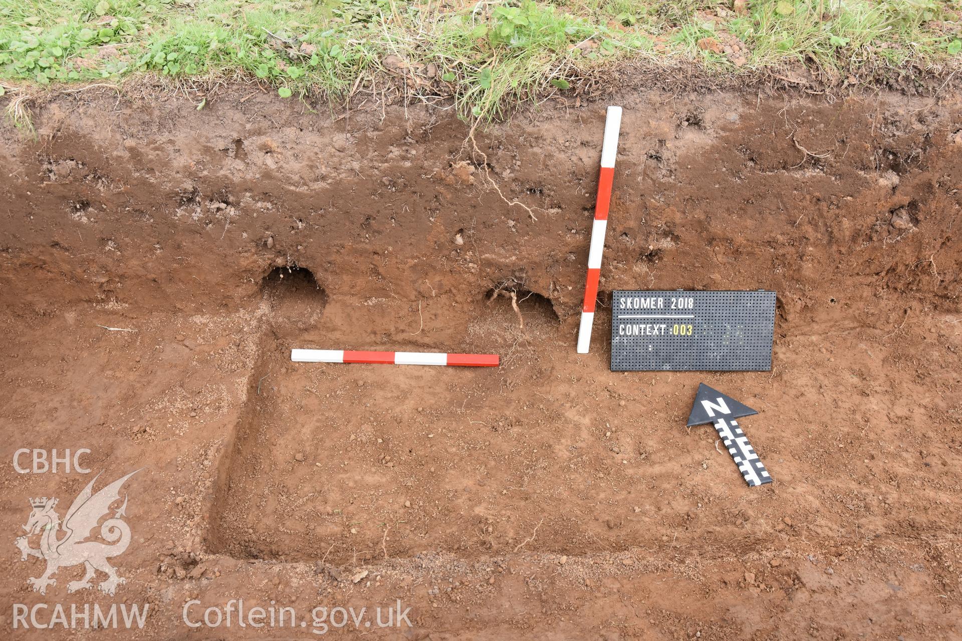 Investigator's photography showing the evaluation excavation of a geophysical anomaly in Well Meadow, Skomer Island. Photo of excavated north section with rabbit warren penetration to subsoil level, c.0.5m below topsoil.