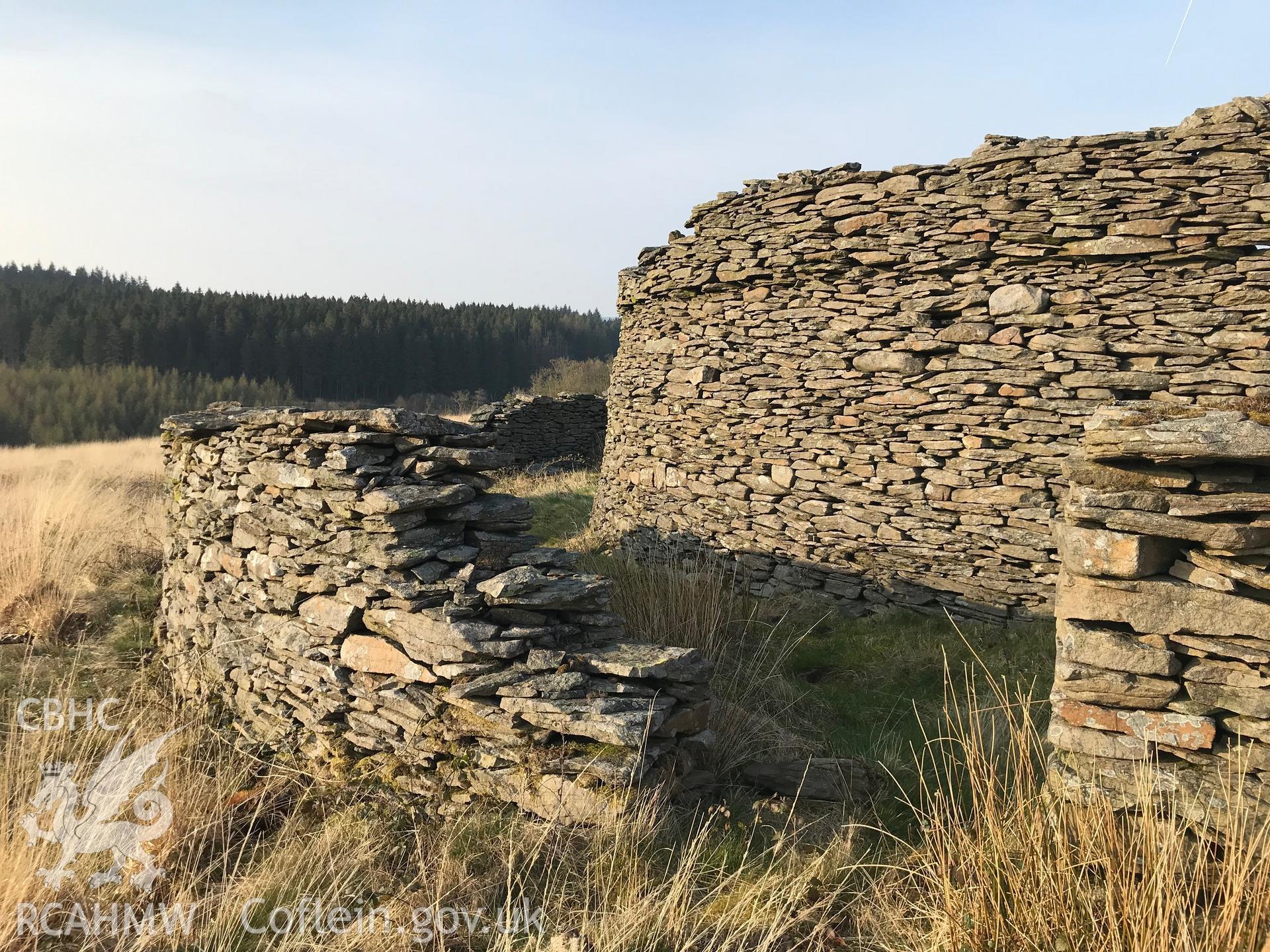 Digital colour photograph of Blaen Pelena possible cattle or sheepfold, Pelenna, east of Neath, taken by Paul R. Davis on 30th March 2019.