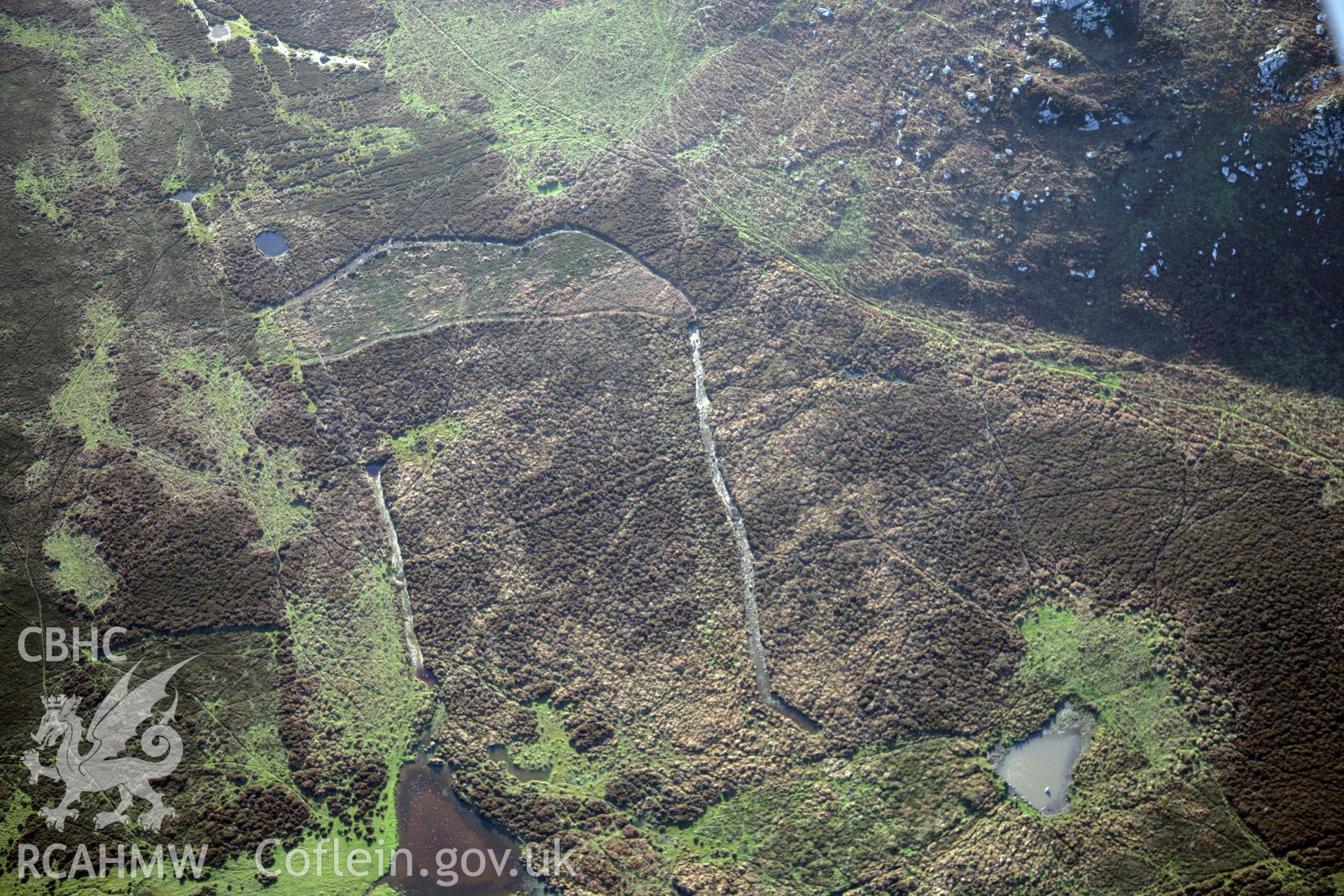 RCAHMW colour oblique photograph of relict field enclosure features, Ramsey Island. Taken by O. Davies & T. Driver on 22/11/2013.