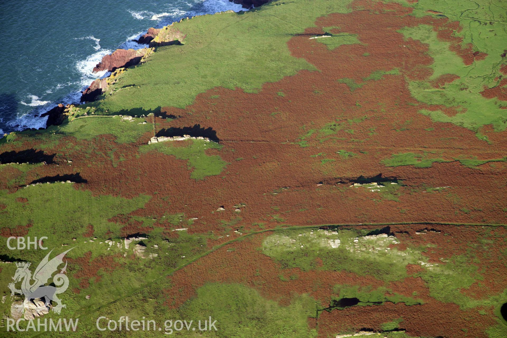 RCAHMW colour oblique photograph of field system, Skokholm Island, viewed from the south. Taken by O. Davies & T. Driver on 22/11/2013.