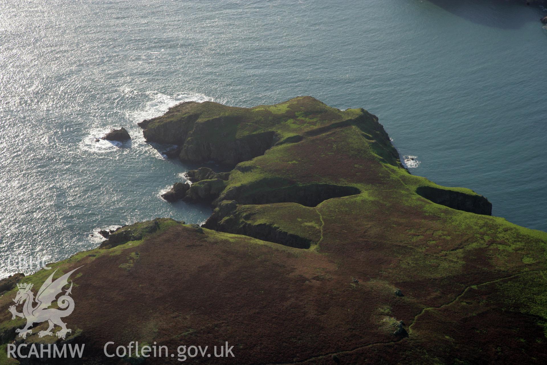 RCAHMW colour oblique photograph of field system, The Neck, Skomer Island. Taken by O. Davies & T. Driver on 22/11/2013.