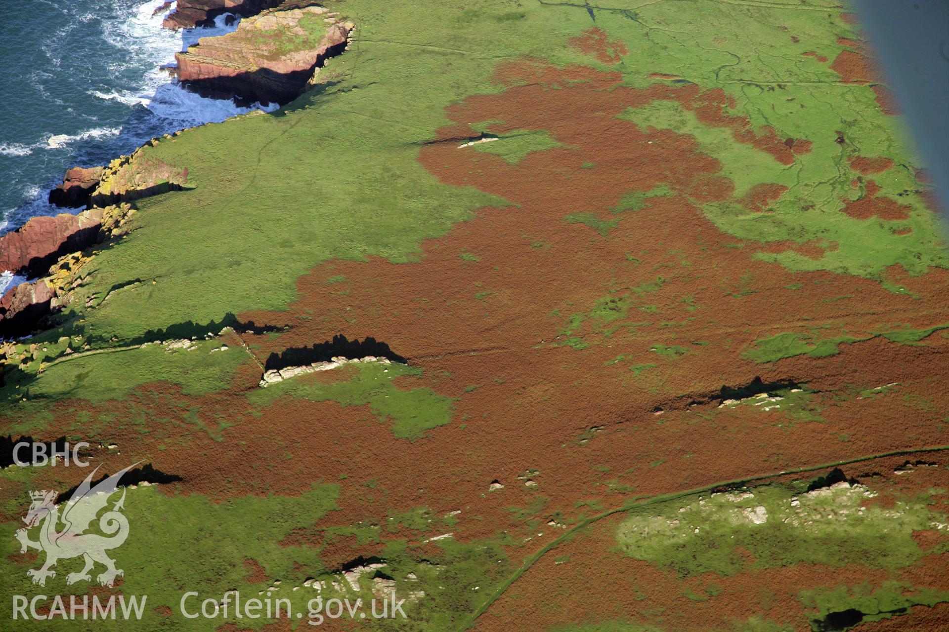 RCAHMW colour oblique photograph of field system, Skokholm Island, viewed from the south. Taken by O. Davies & T. Driver on 22/11/2013.