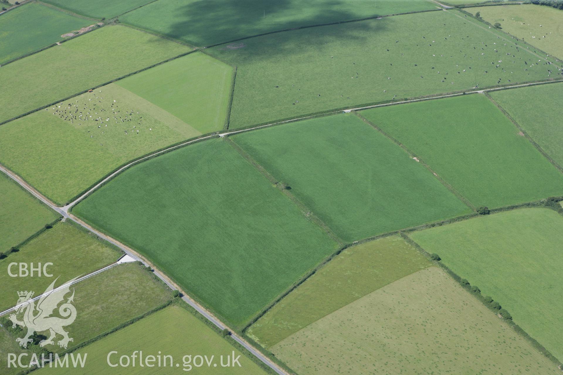 RCAHMW colour oblique photograph of Waunlle cropmark enclosure. Taken by Toby Driver and Oliver Davies on 28/06/2011.