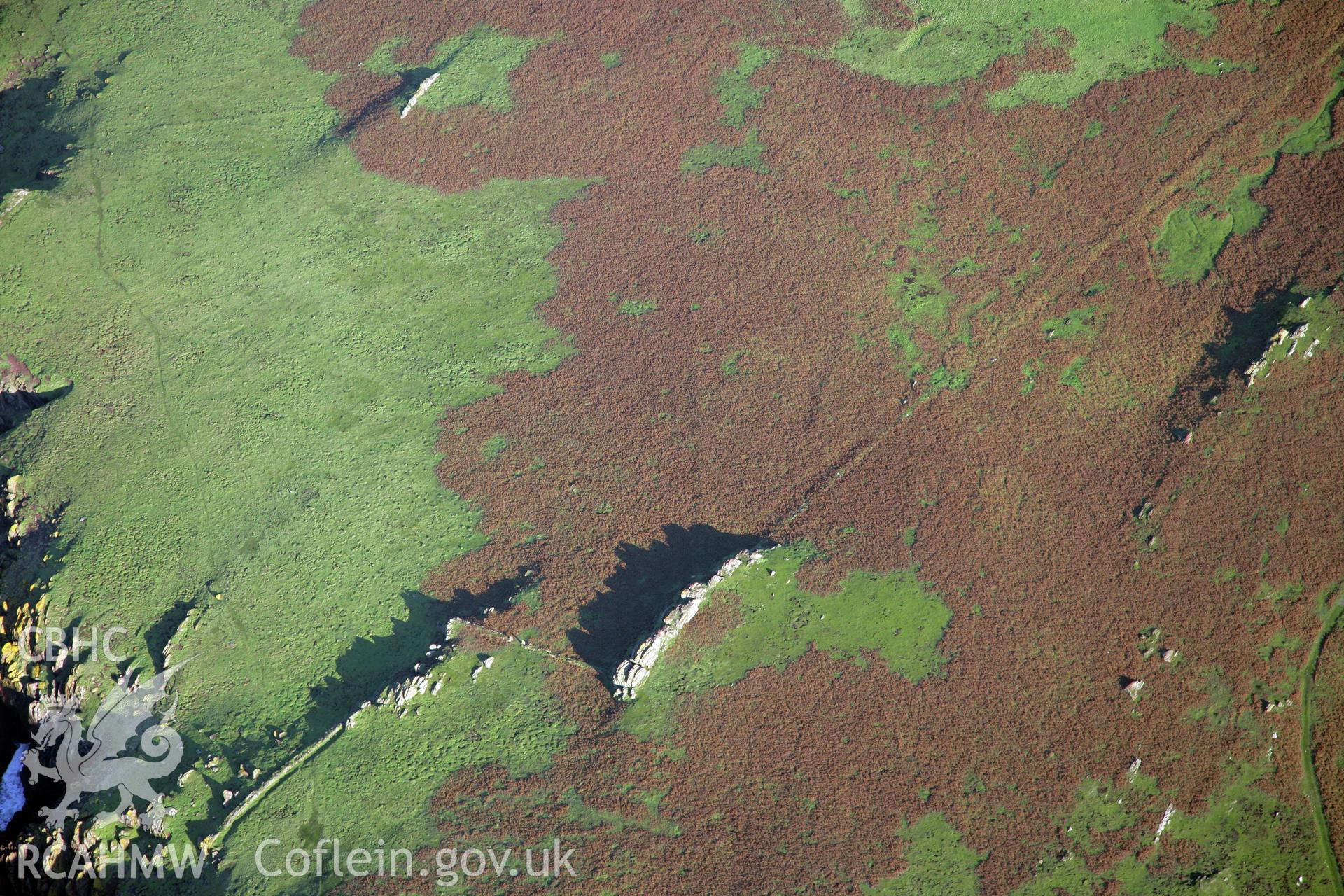 RCAHMW colour oblique photograph of field system, Skokholm Island, viewed from the north. Taken by O. Davies & T. Driver on 22/11/2013.