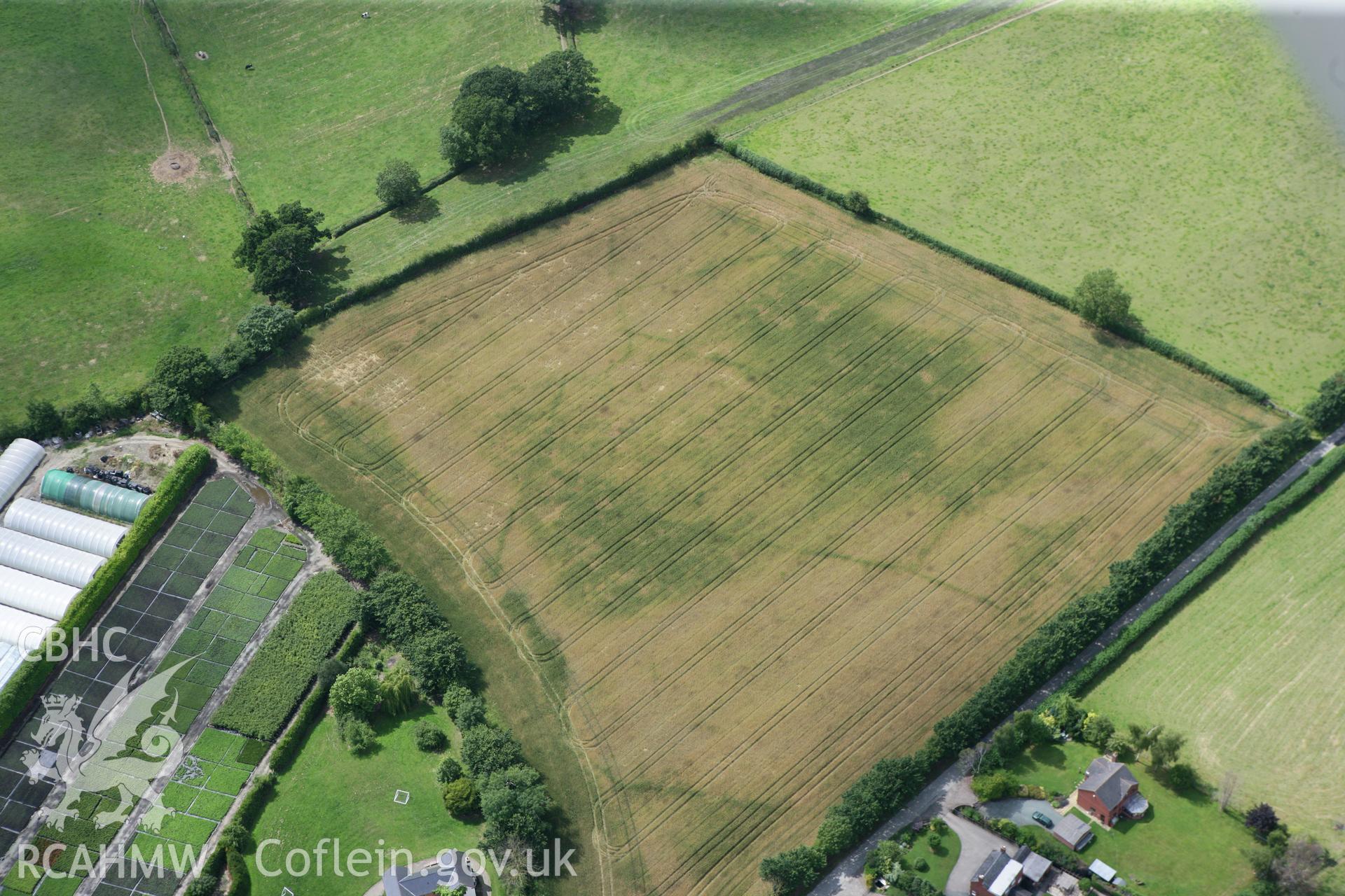 RCAHMW colour oblique photograph of Domgay Lane linear cropmarks. Taken by Toby Driver on 20/07/2011.