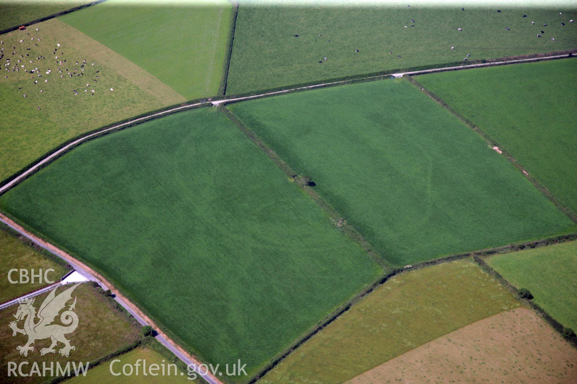 RCAHMW colour oblique photograph of Waunlle cropmark enclosure. Taken by Toby Driver and Oliver Davies on 28/06/2011.