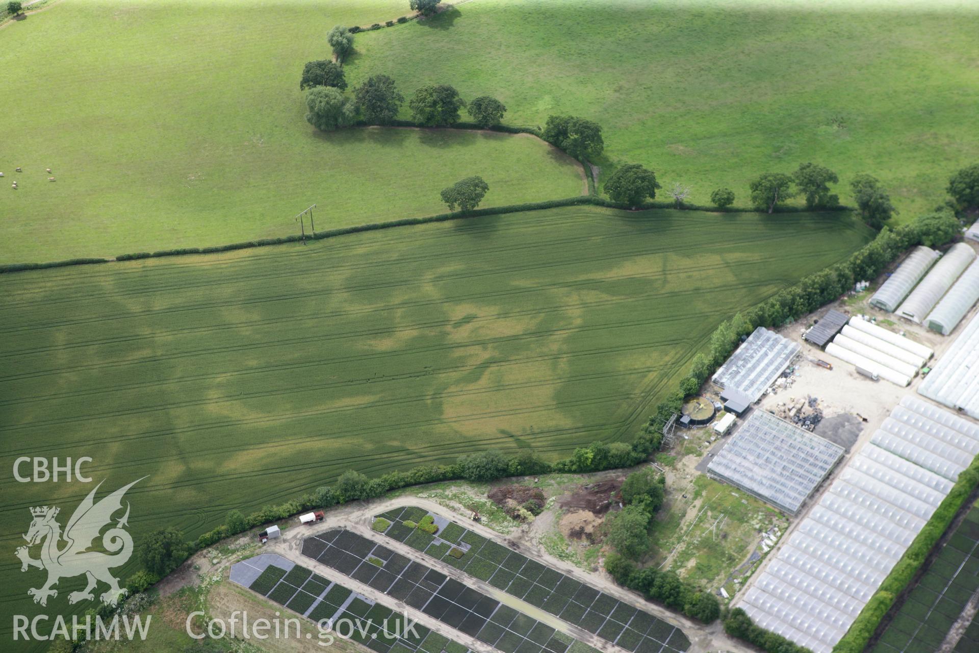 RCAHMW colour oblique photograph of Domgay Lane cropmark enclosures. Taken by Toby Driver on 20/07/2011.