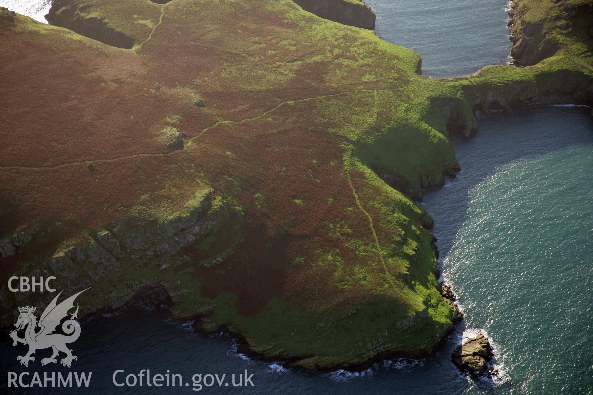 RCAHMW colour oblique photograph of The Neck, Skomer Island. Taken by O. Davies & T. Driver on 22/11/2013.