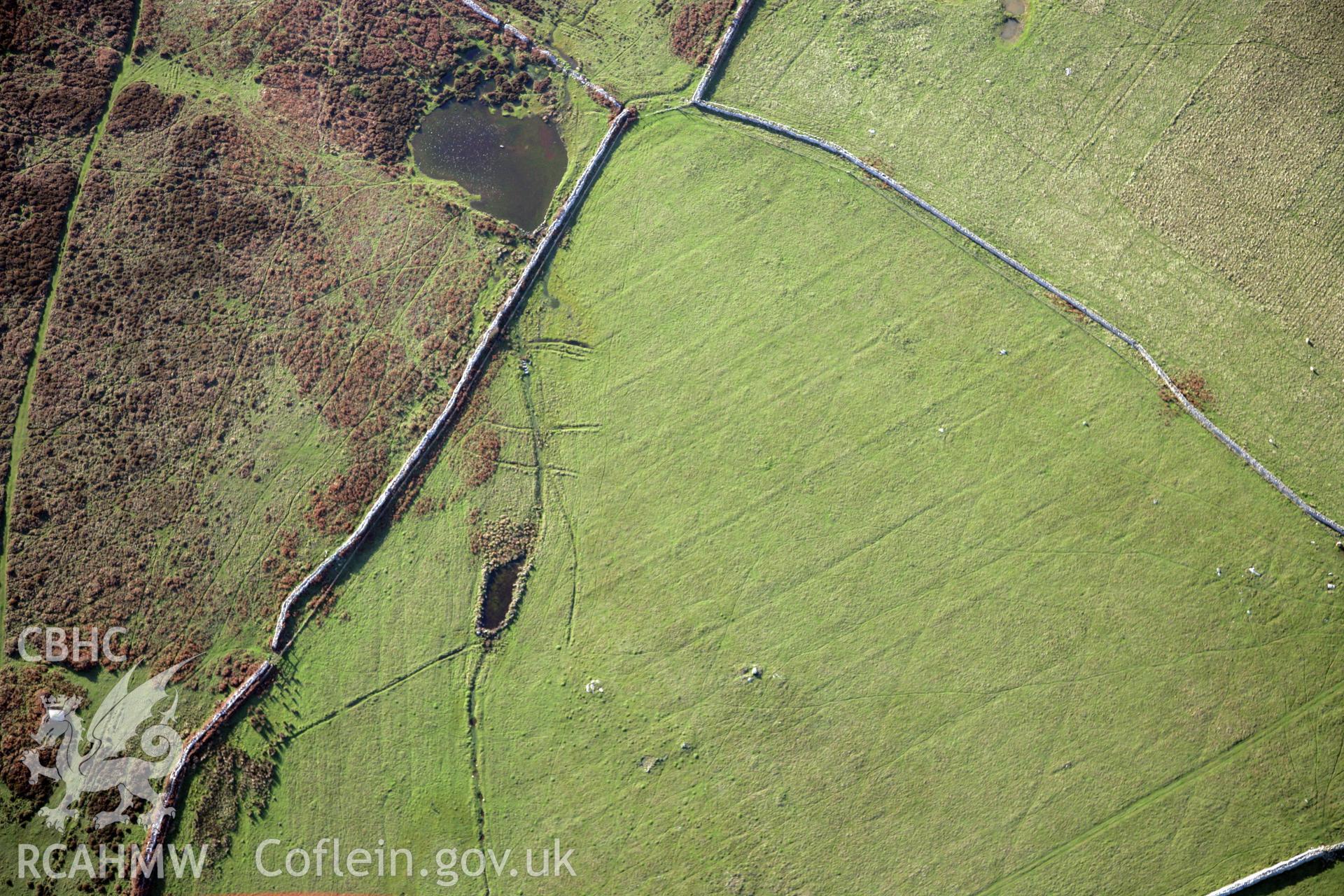 RCAHMW colour oblique photograph of ponds and stream, Ramsey Island. Taken by O. Davies & T. Driver on 22/11/2013.
