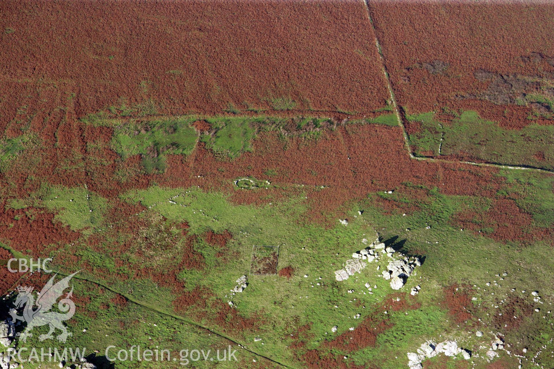 RCAHMW colour oblique photograph of field system, Skomer Island. Taken by O. Davies & T. Driver on 22/11/2013.