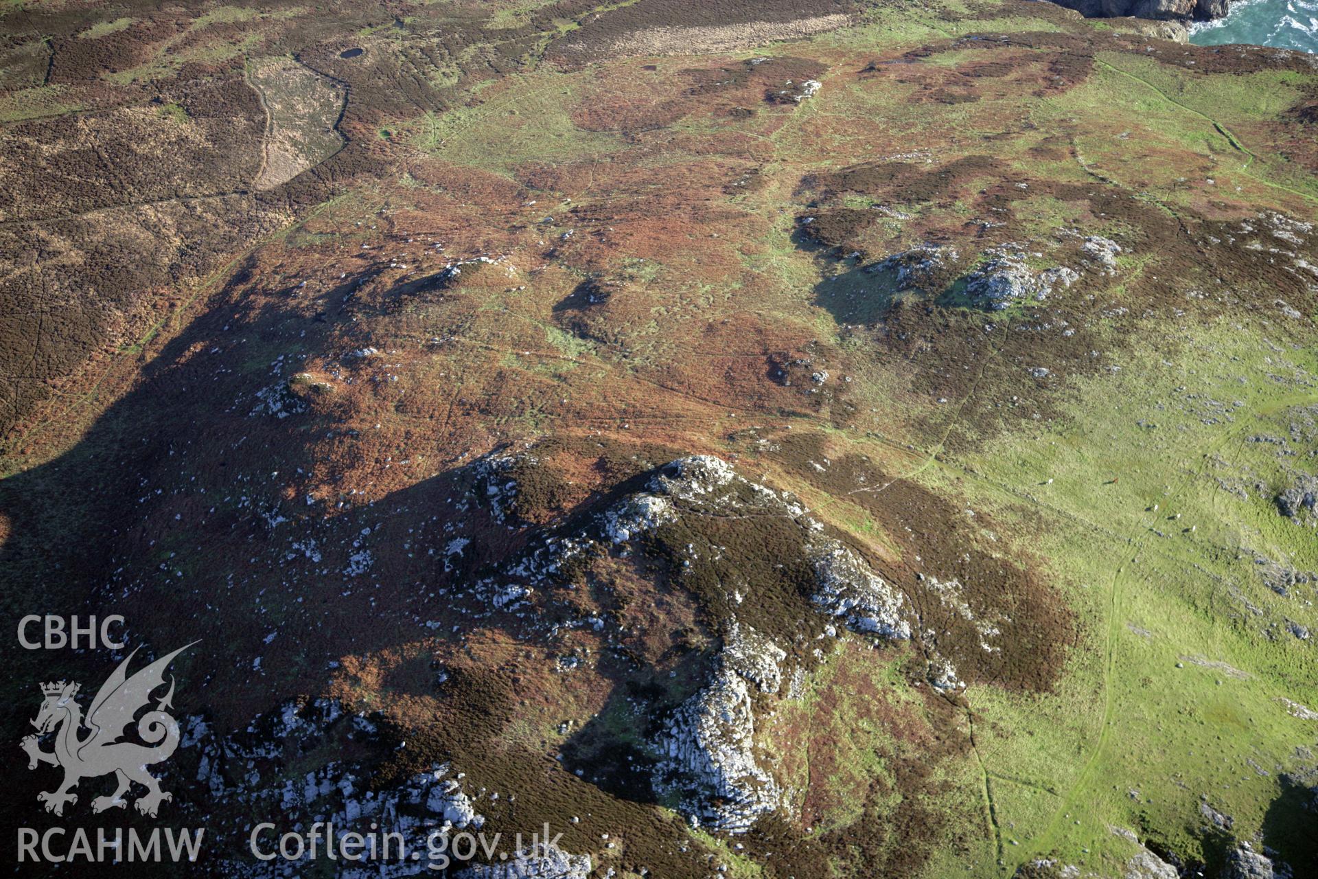 RCAHMW colour oblique photograph of relict field enclosure features, Ramsey Island. Taken by O. Davies & T. Driver on 22/11/2013.