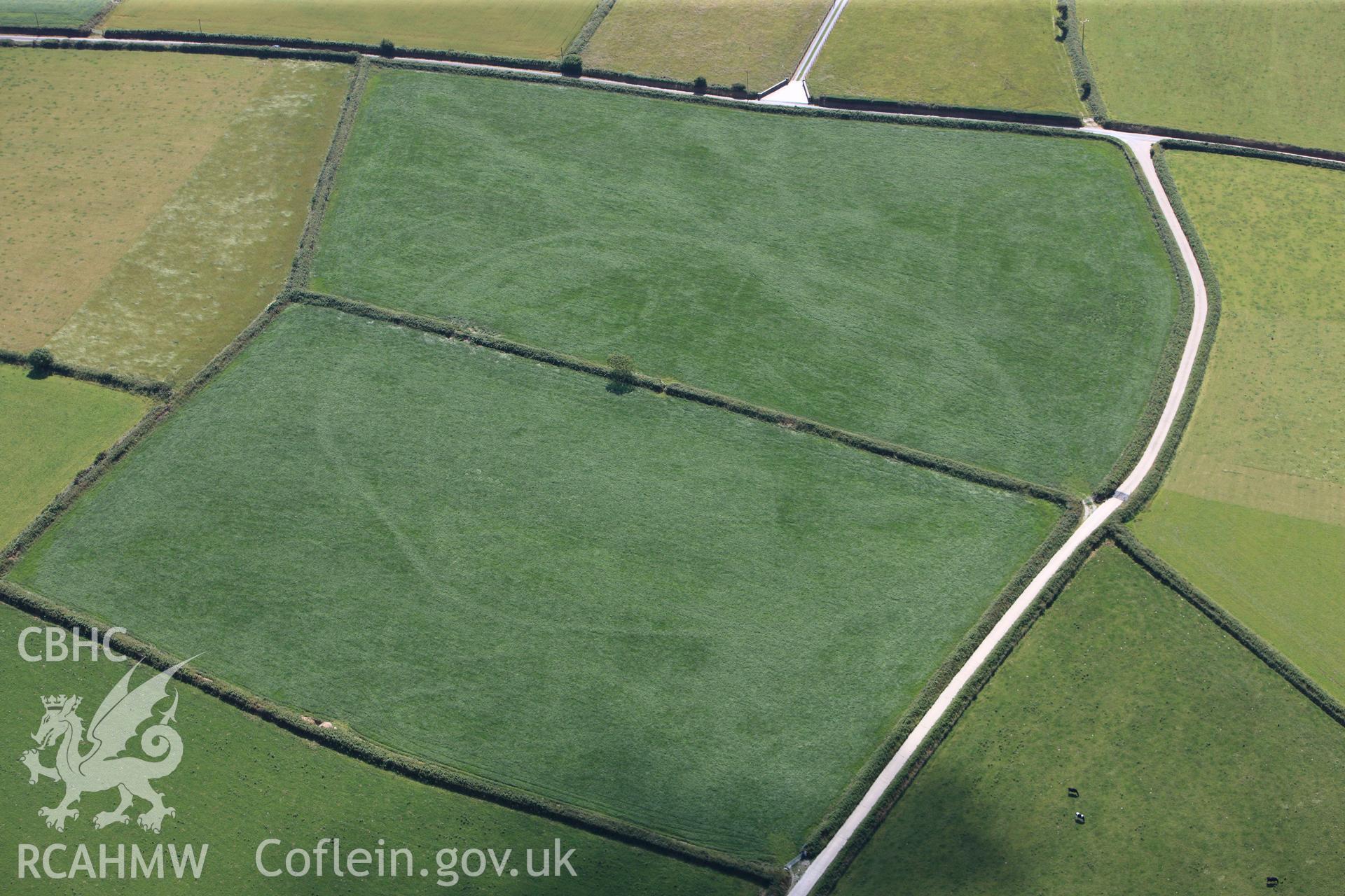 RCAHMW colour oblique photograph of Waunlle cropmark enclosure. Taken by Toby Driver and Oliver Davies on 28/06/2011.