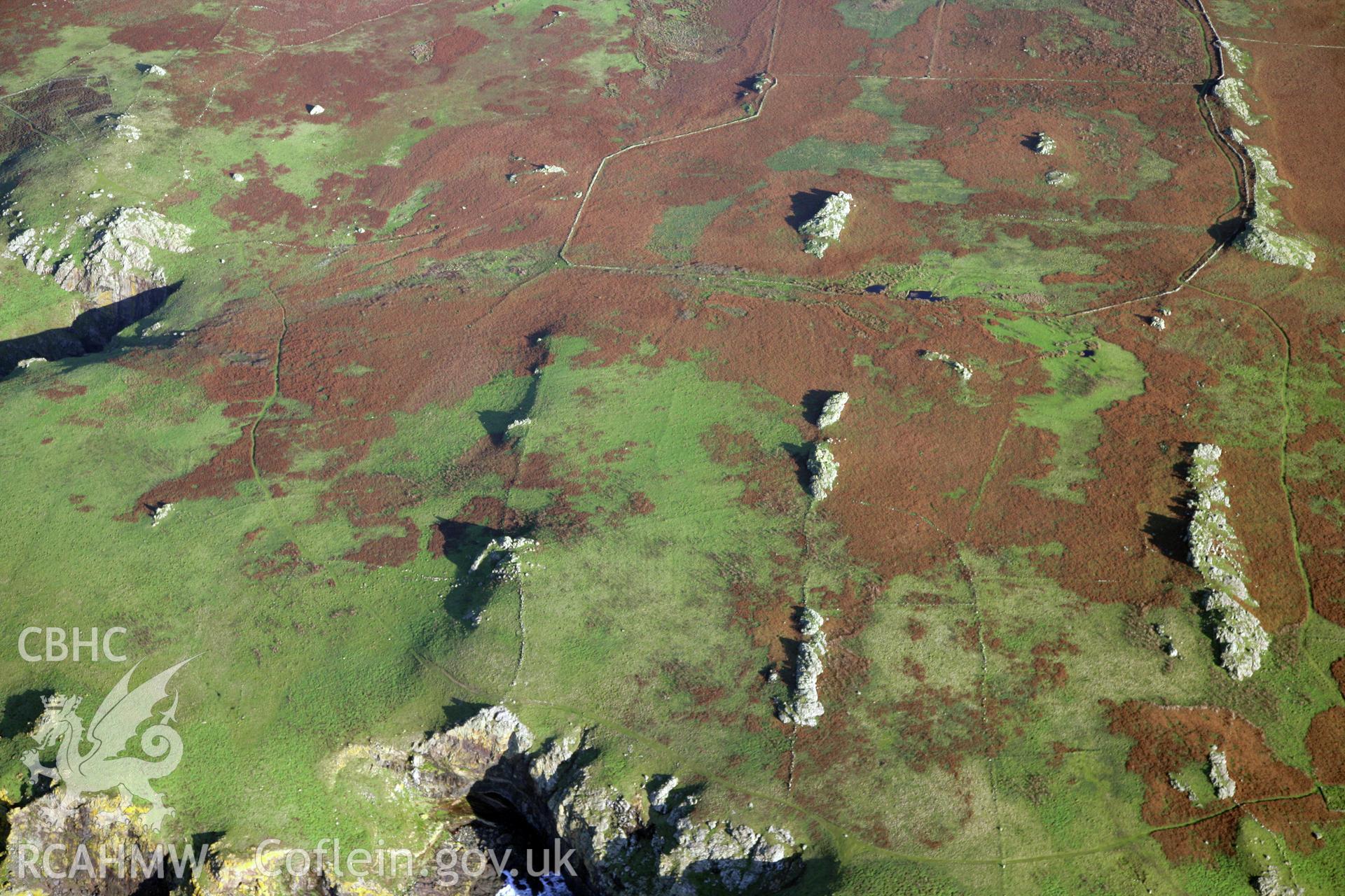 RCAHMW colour oblique photograph of settlements and field systems, Skomer Island, viewed from the west. Taken by O. Davies & T. Driver on 22/11/2013.