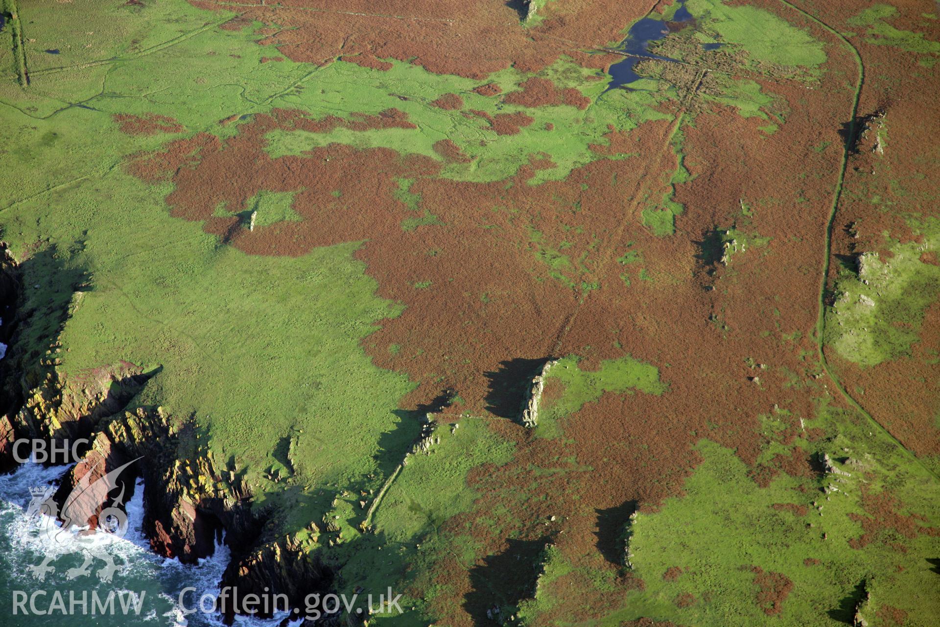 RCAHMW colour oblique photograph of field system, Skokholm Island, viewed from the west. Taken by O. Davies & T. Driver on 22/11/2013.