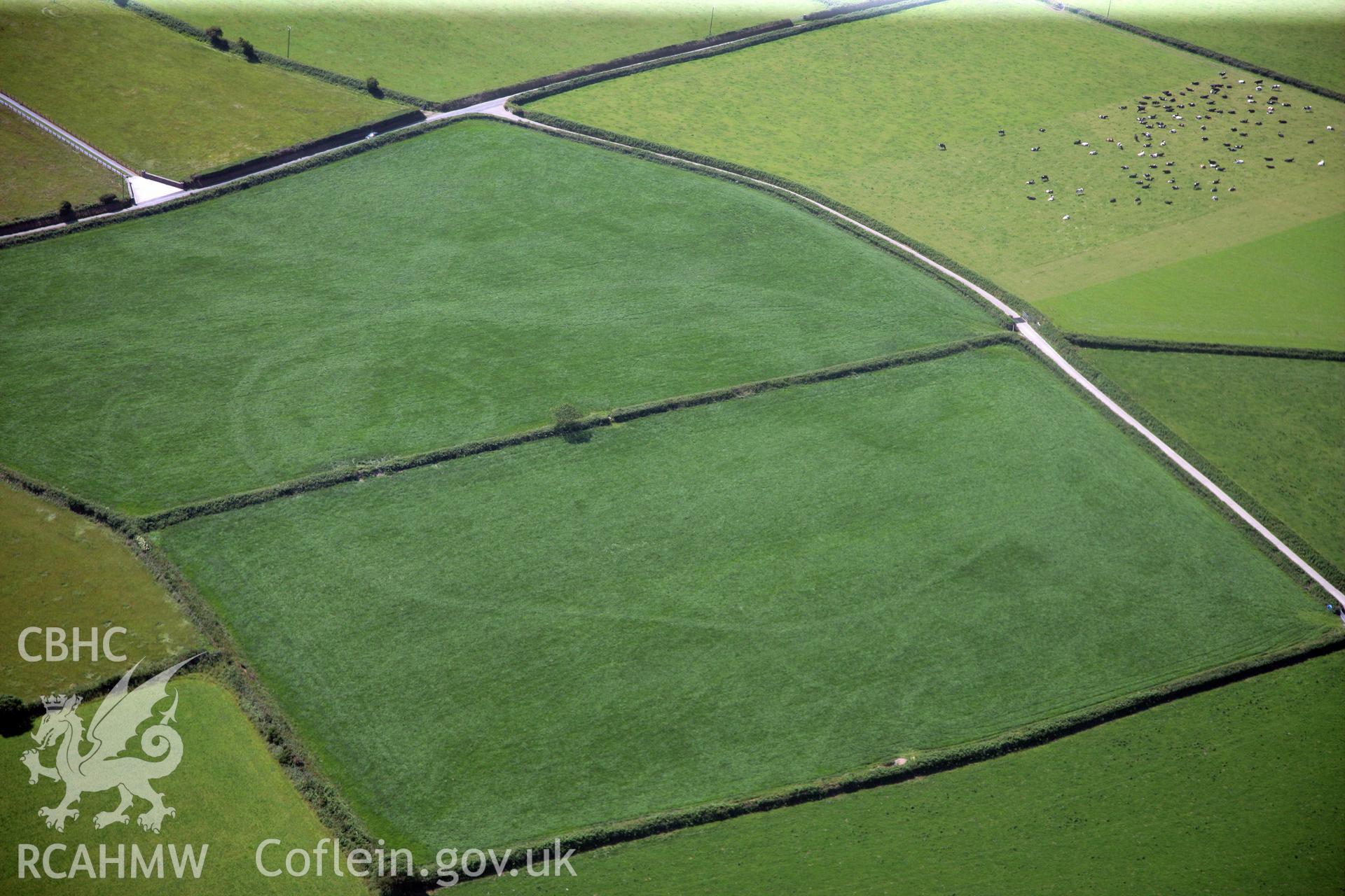 RCAHMW colour oblique photograph of Waunlle cropmark enclosure. Taken by Toby Driver and Oliver Davies on 28/06/2011.