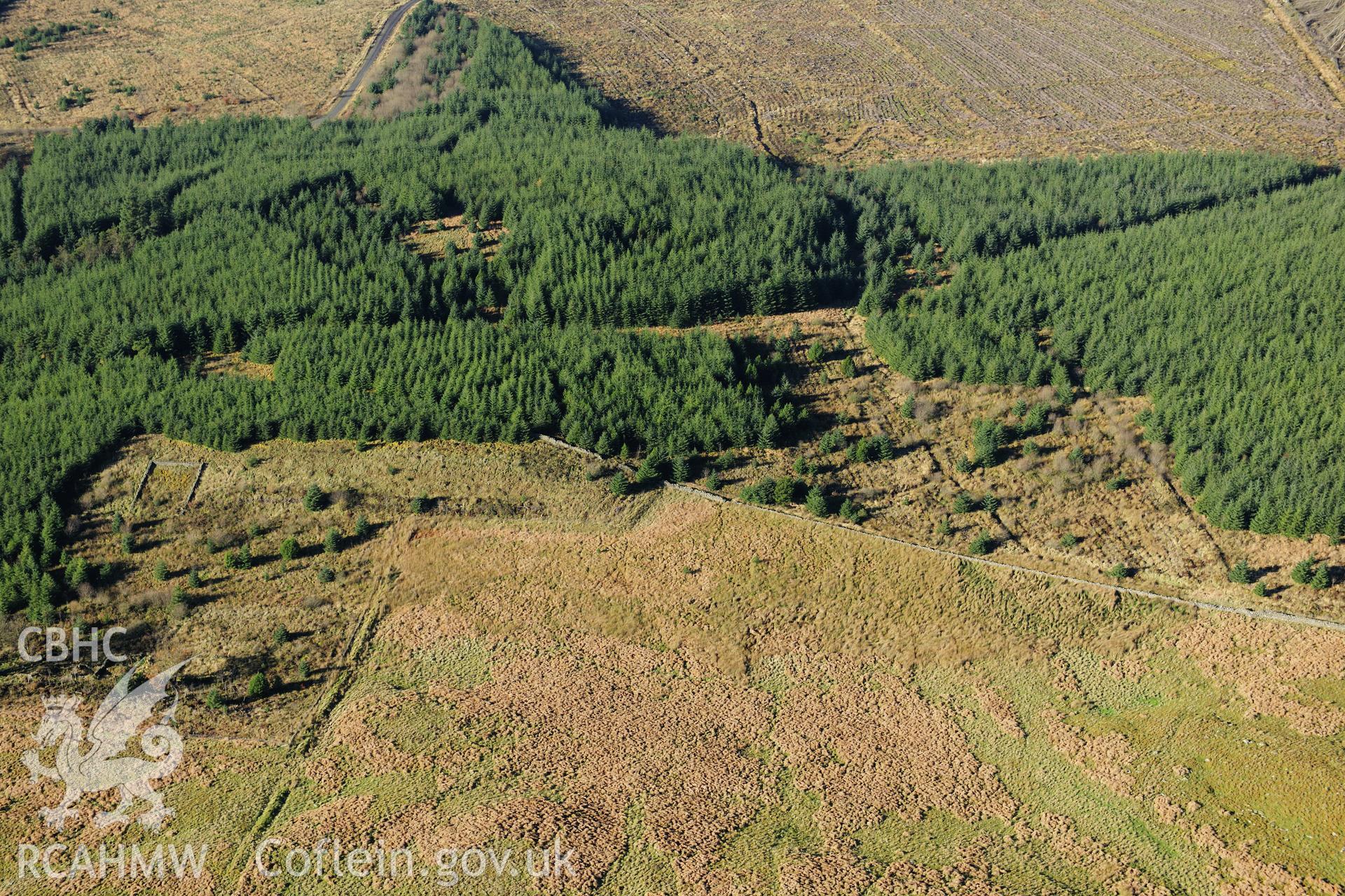 RCAHMW colour oblique photograph of Ruins of Plas Newydd dwelling, with Moelfryn round cairn beyond. Taken by Toby Driver on 05/11/2012.