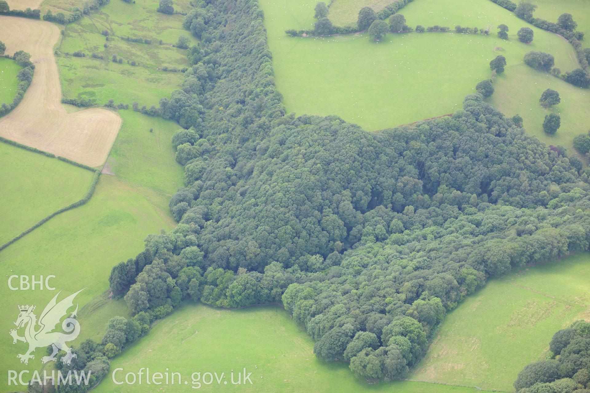 RCAHMW colour oblique photograph of Derwlwyn Coppice, Enclosure. Taken by Toby Driver on 27/07/2012.