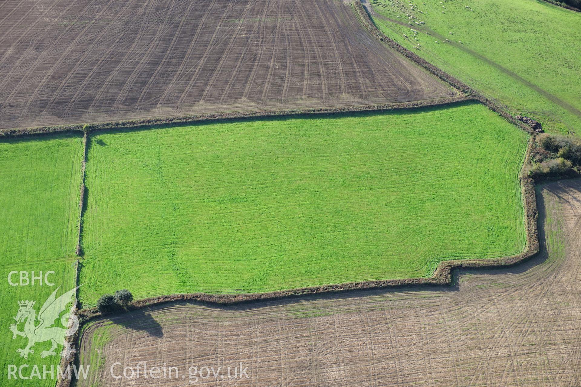 RCAHMW colour oblique photograph of Detail of Dan-Y-Coed. Taken by Toby Driver on 26/10/2012.