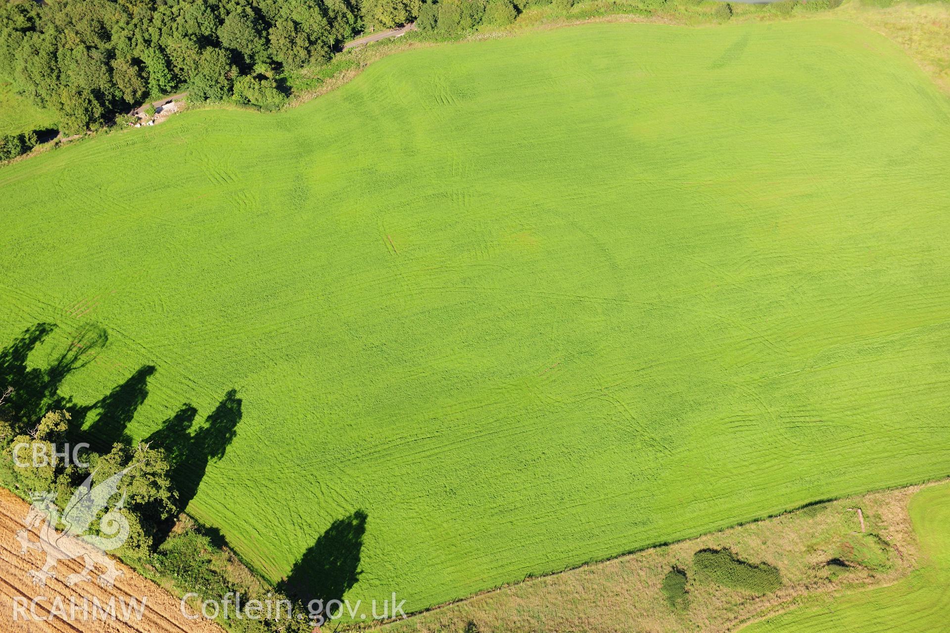 RCAHMW colour oblique photograph of Hensol Park, cropmark of post-medieval tree-ring. Taken by Toby Driver on 24/07/2012.