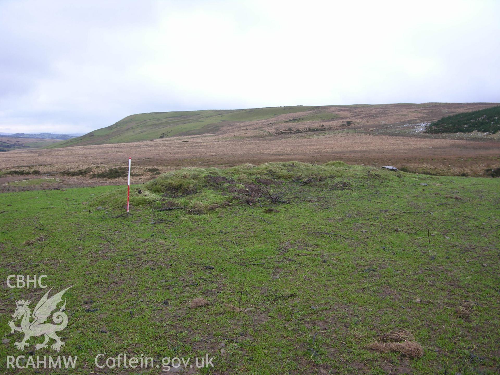 Colour digital photograph showing view of a clearance cairn nr Carneddau - part of archaeological desk based assessment for Esgair Cwmowen, Carno (CAP Report 549).