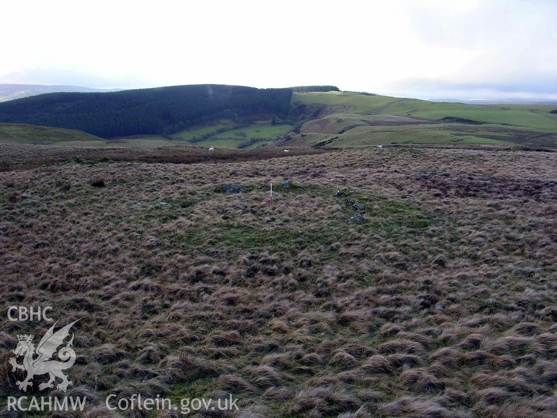 Colour digital photograph showing view of Bronze Age roundhouse (Graig y Llyn Mawr Hut III - PRN 917) - part of archaeological desk based assessment for Esgair Cwmowen, Carno (CAP Report 549).