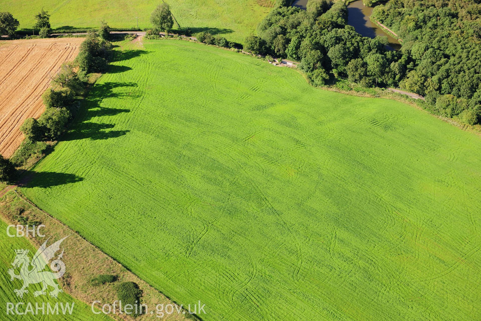 RCAHMW colour oblique photograph of Hensol Park, cropmark of post-medieval tree-ring. Taken by Toby Driver on 24/07/2012.