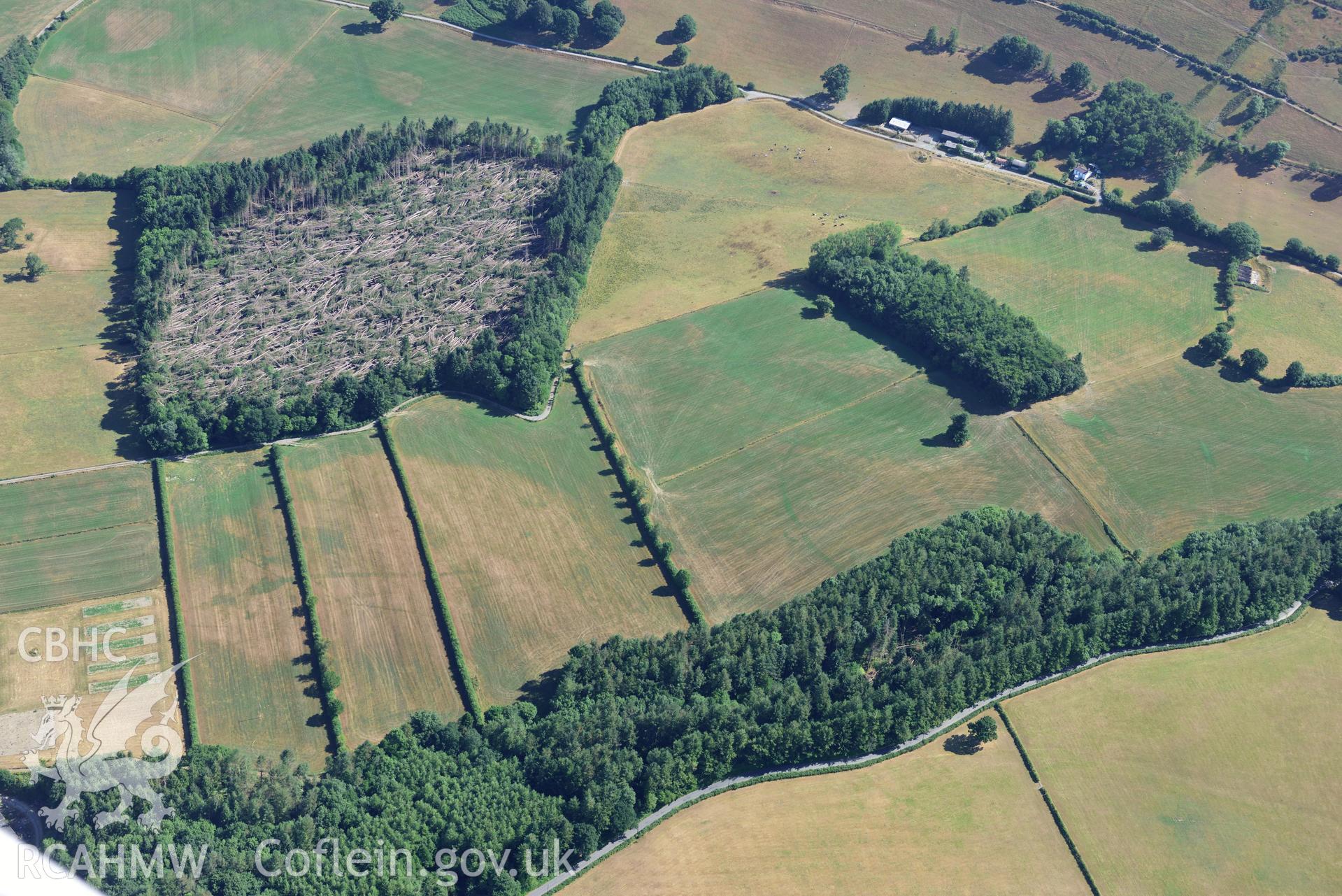 Royal Commission aerial photography of Trellech Grange, showing cropmarks northeast of Grange Spring Lakes at SO 496018, taken on 19th July 2018 during the 2018 drought.