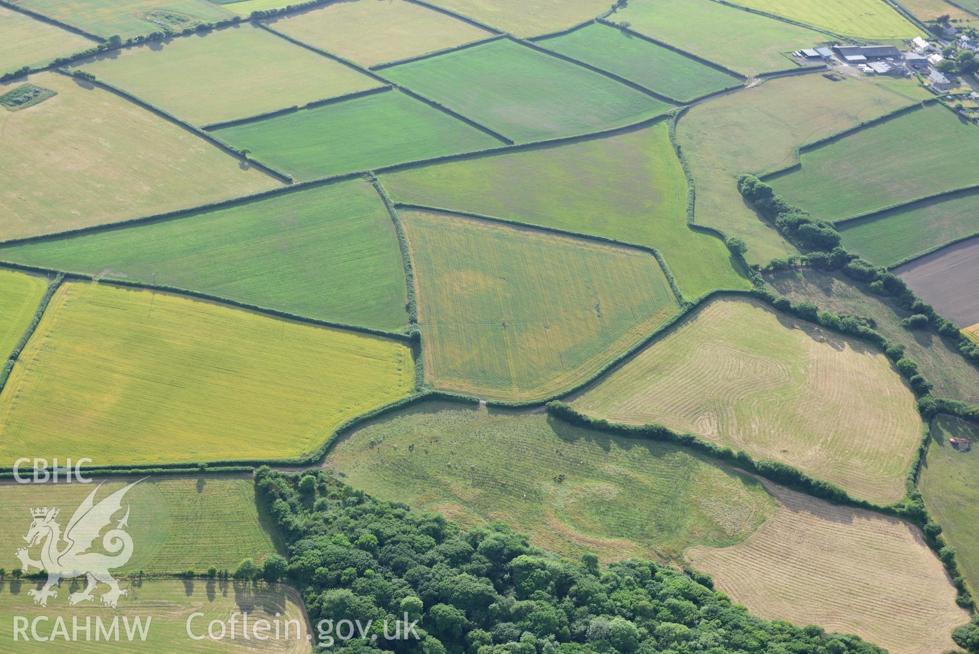 Royal Commission aerial photography of Berry Wood enclosure or possible henge, taken on 17th July 2018 during the 2018 drought.