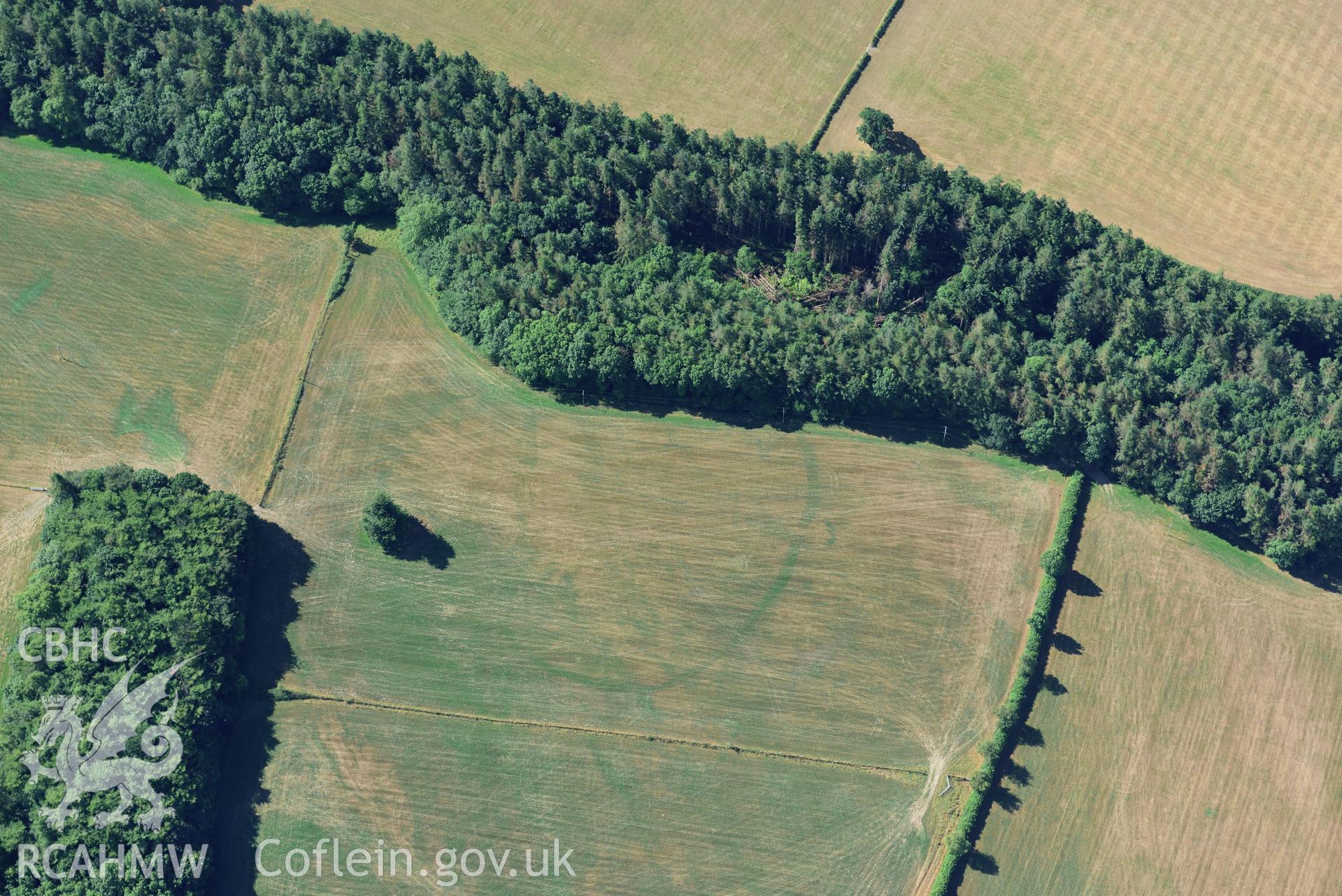 Royal Commission aerial photography of Trellech Grange, showing cropmarks northeast of Grange Spring Lakes at SO 496018, taken on 19th July 2018 during the 2018 drought.