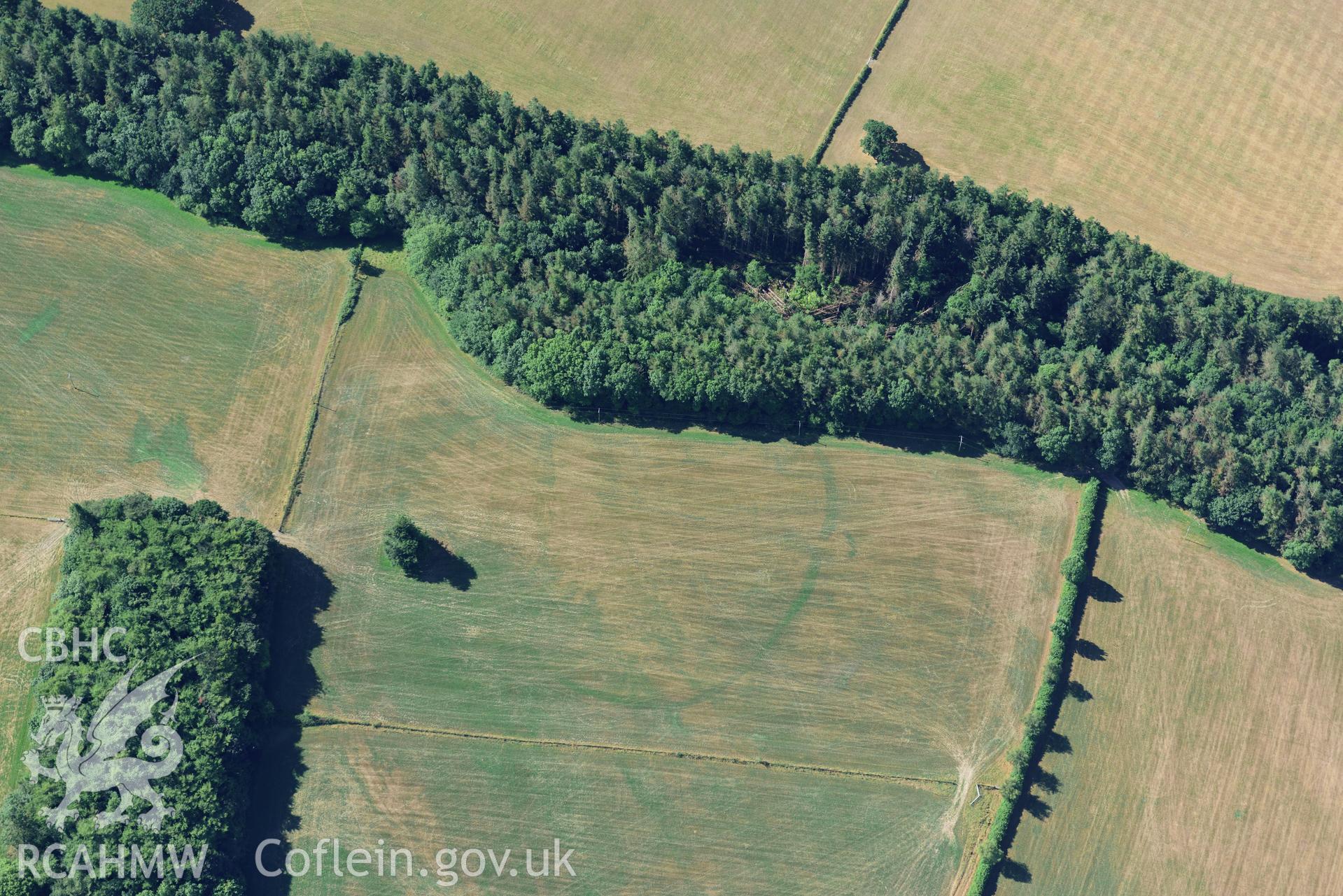 Royal Commission aerial photography of Trellech Grange, showing cropmarks northeast of Grange Spring Lakes at SO 496018, taken on 19th July 2018 during the 2018 drought.