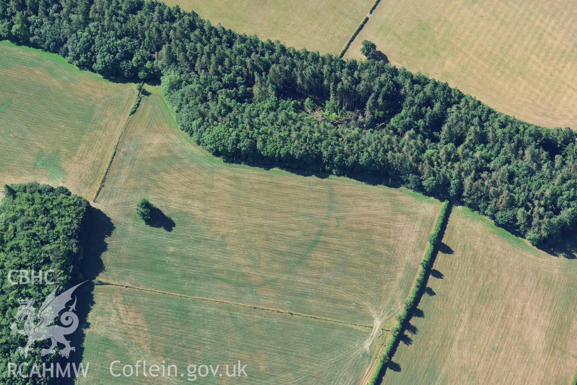 Royal Commission aerial photography of Trellech Grange, showing cropmarks northeast of Grange Spring Lakes at SO 496018, taken on 19th July 2018 during the 2018 drought.