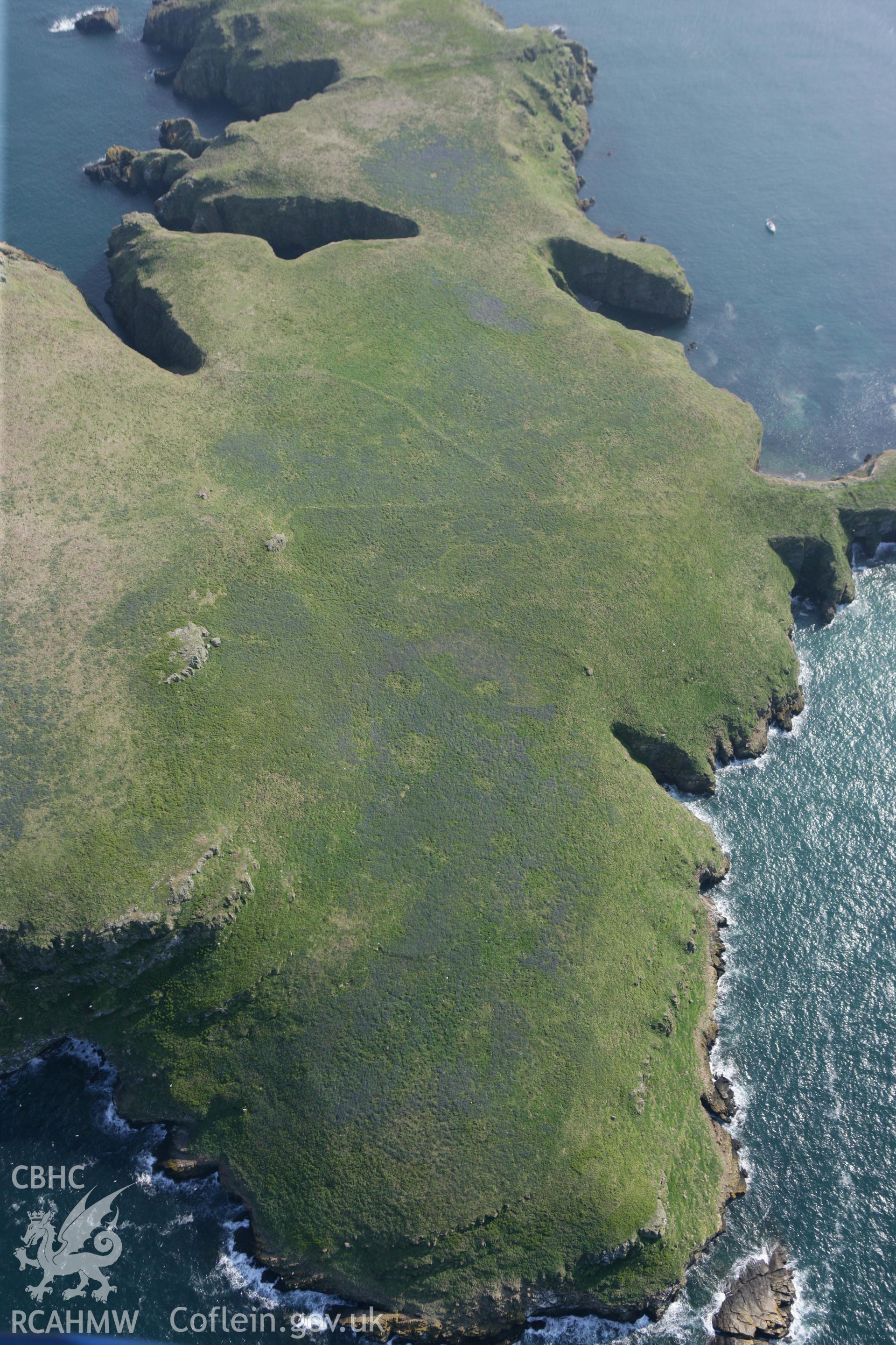 RCAHMW colour oblique photograph of Skomer Island, The Neck. Taken by Toby Driver on 25/05/2010.