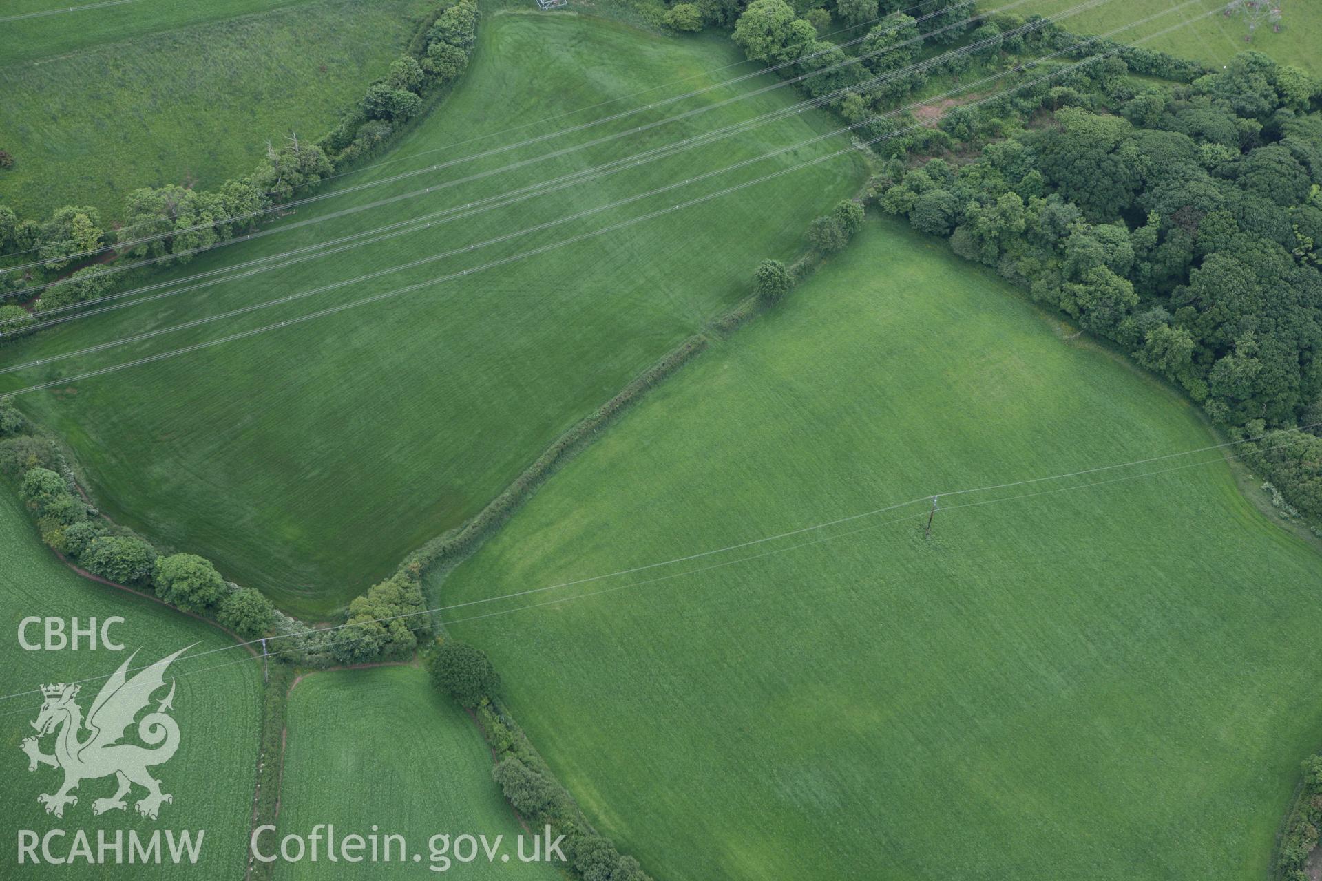 RCAHMW colour oblique photograph of Brownslate, cropmarks of possible enclosure. Taken by Toby Driver on 11/06/2010.