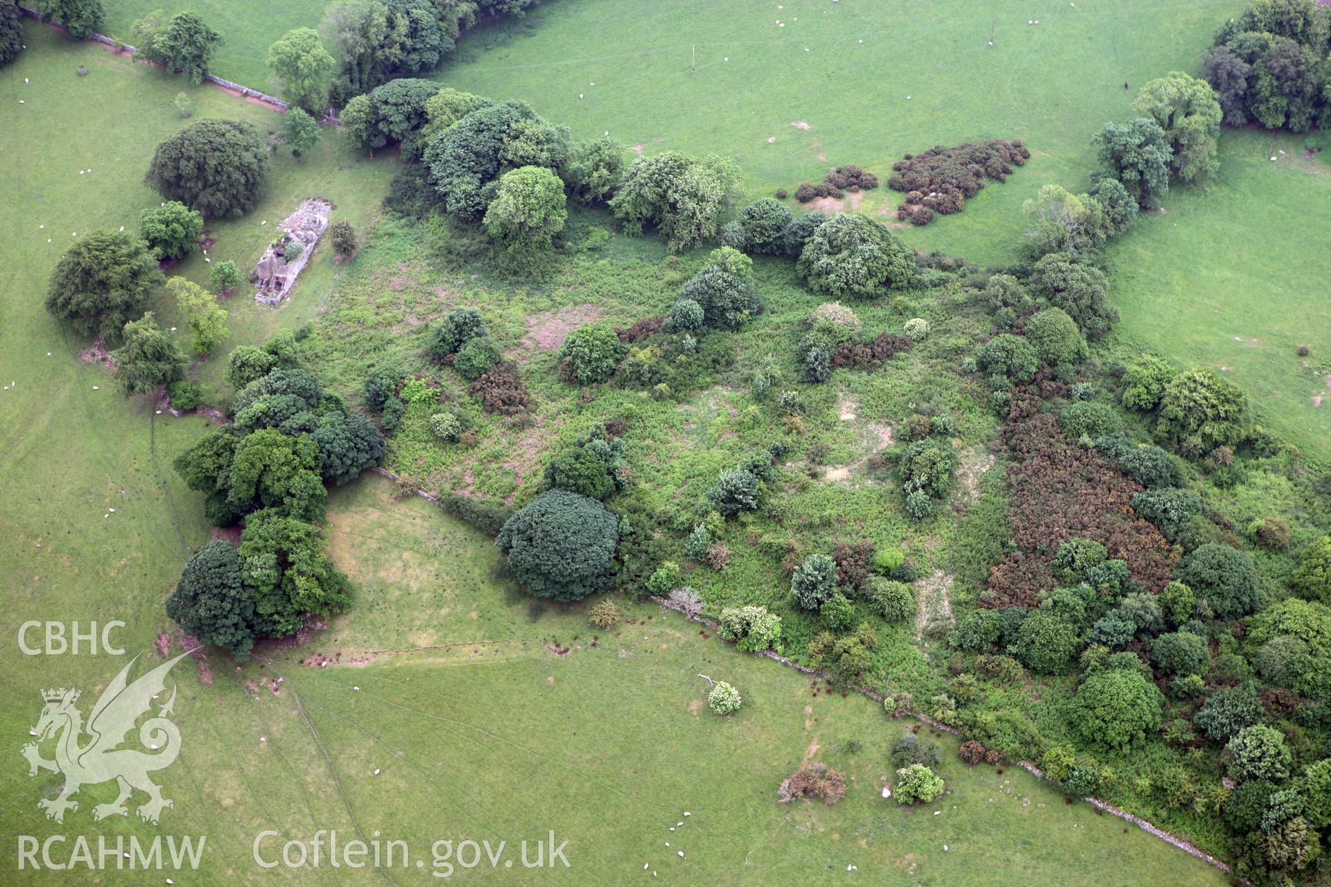RCAHMW colour oblique photograph of Dinas Cadnant, settlement complex. Taken by Toby Driver on 10/06/2010.