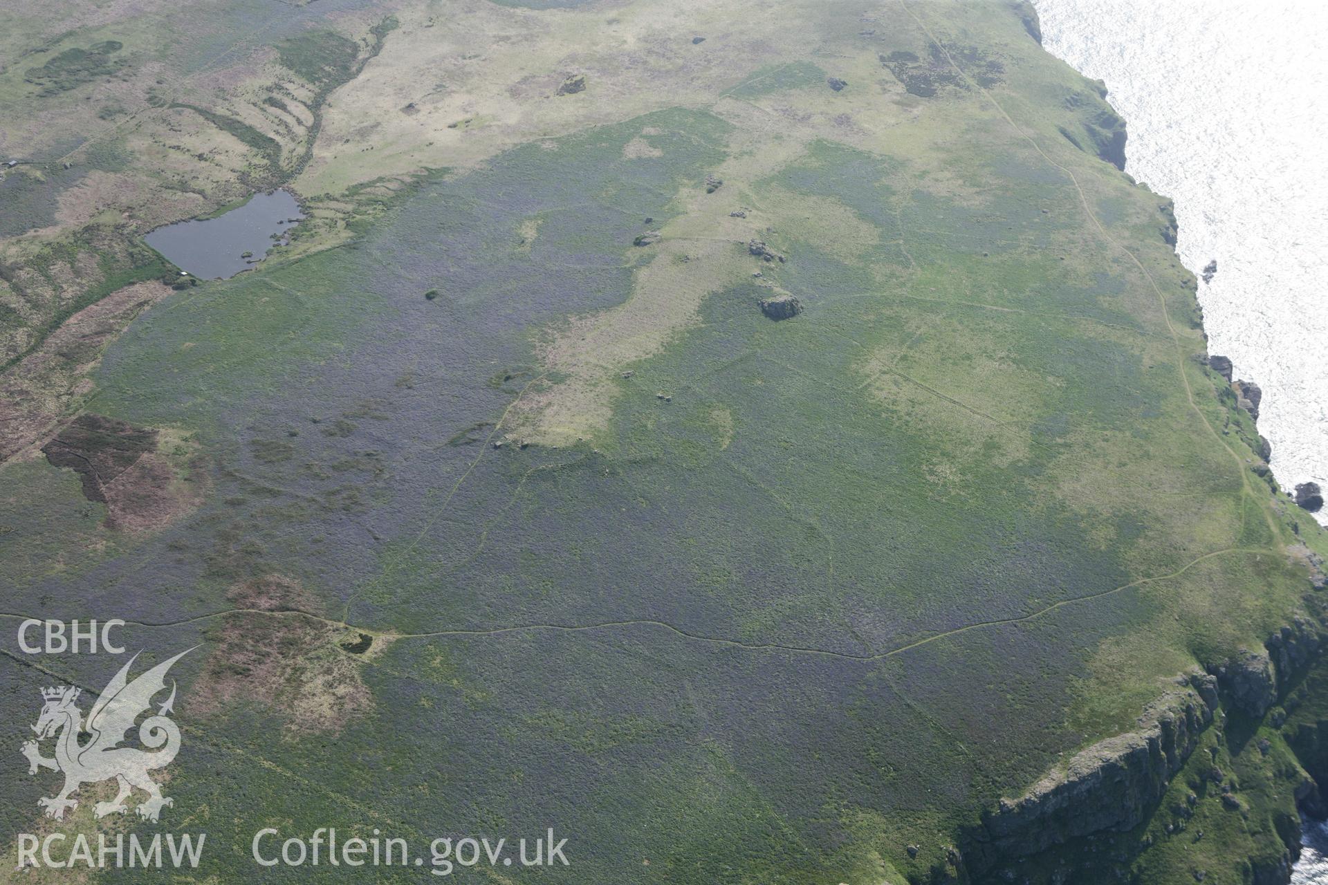 RCAHMW colour oblique photograph of Skomer Island, field systems. Taken by Toby Driver on 25/05/2010.