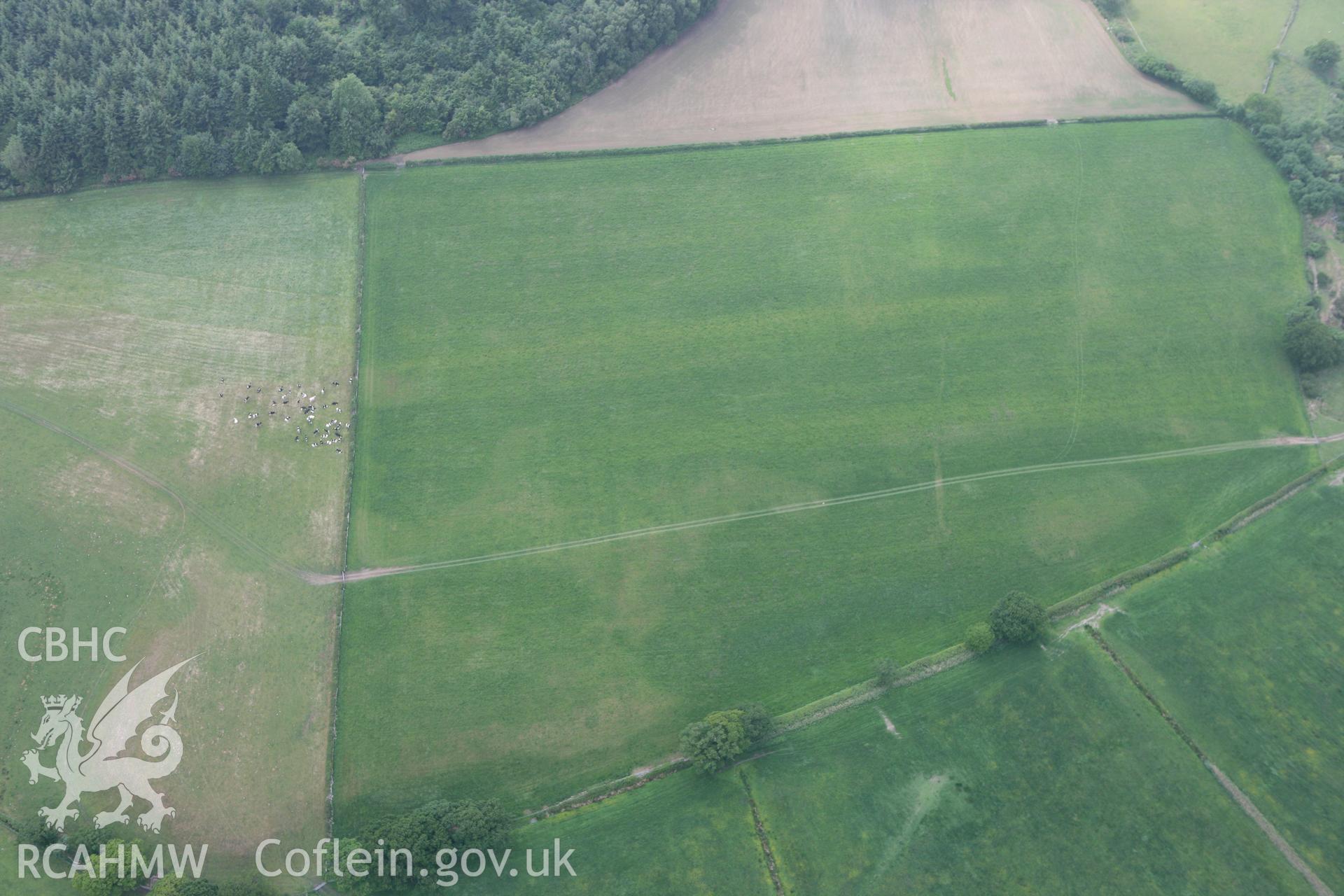 RCAHMW colour oblique photograph of Llwydfaen, site of church (cropmark). Taken by Toby Driver on 10/06/2010.