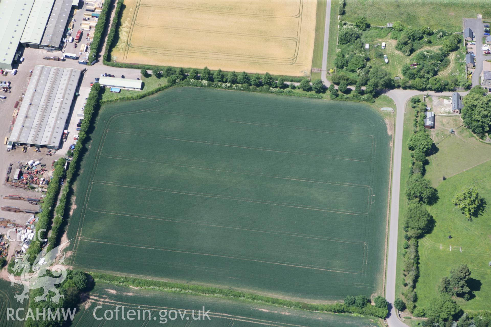 RCAHMW colour oblique photograph of Enclosure cropmarks at Llancayo. Taken by Toby Driver on 21/06/2010.